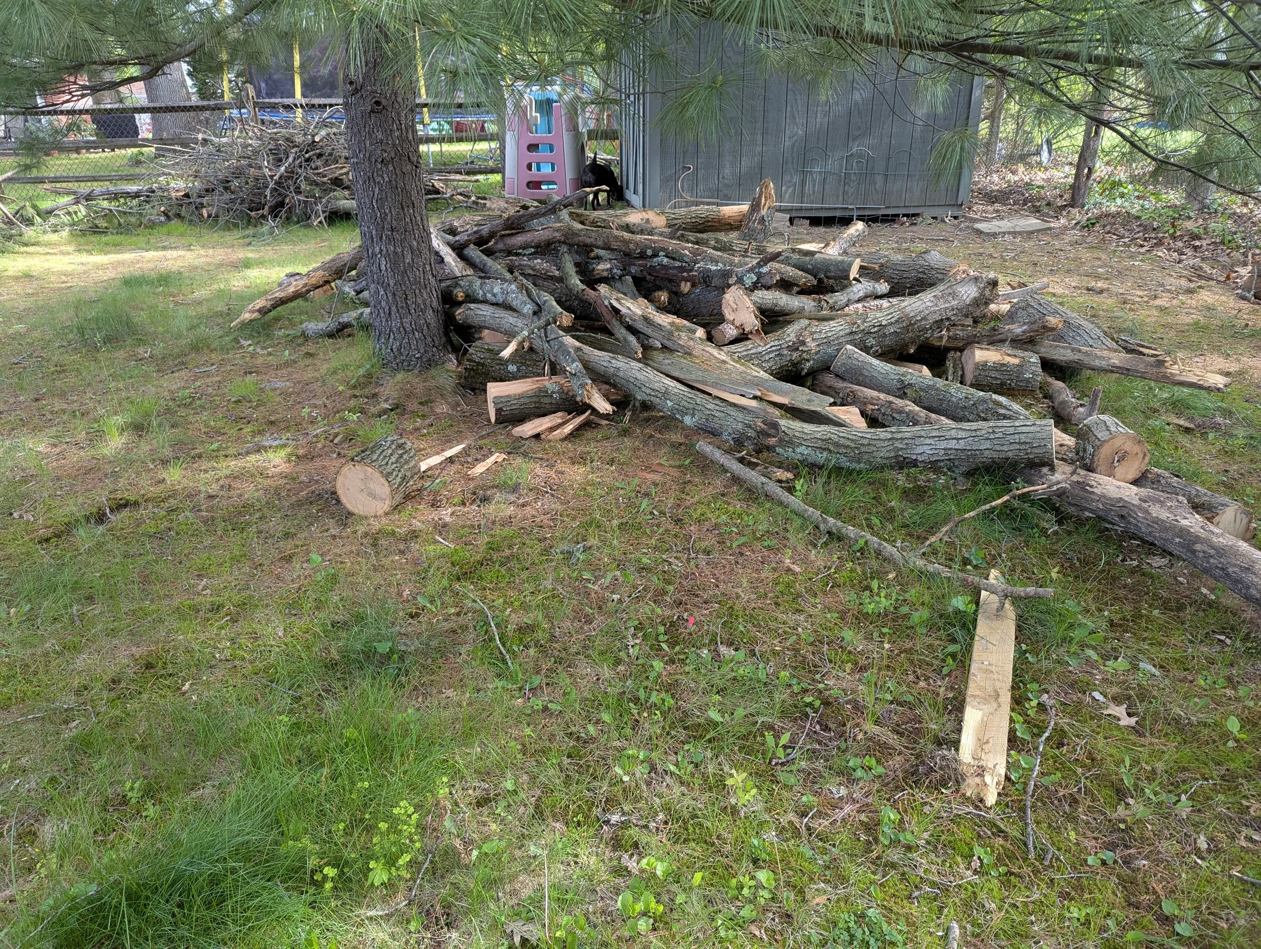 PXL_20250512_124425893.jpg