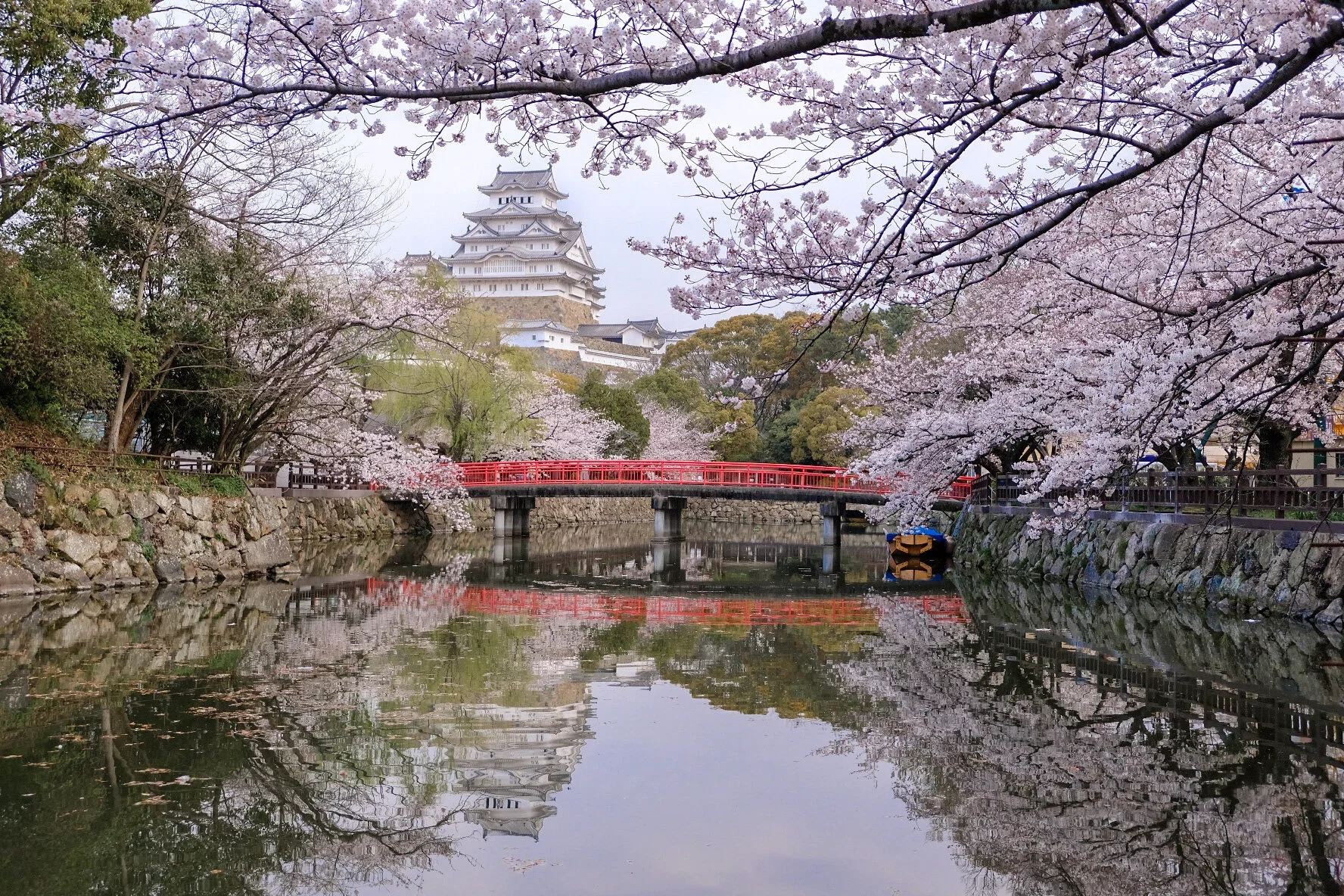 A scenic view of a traditional Japanese castle behind cherry blossom trees in full bloom, with a red bridge crossing a calm river.