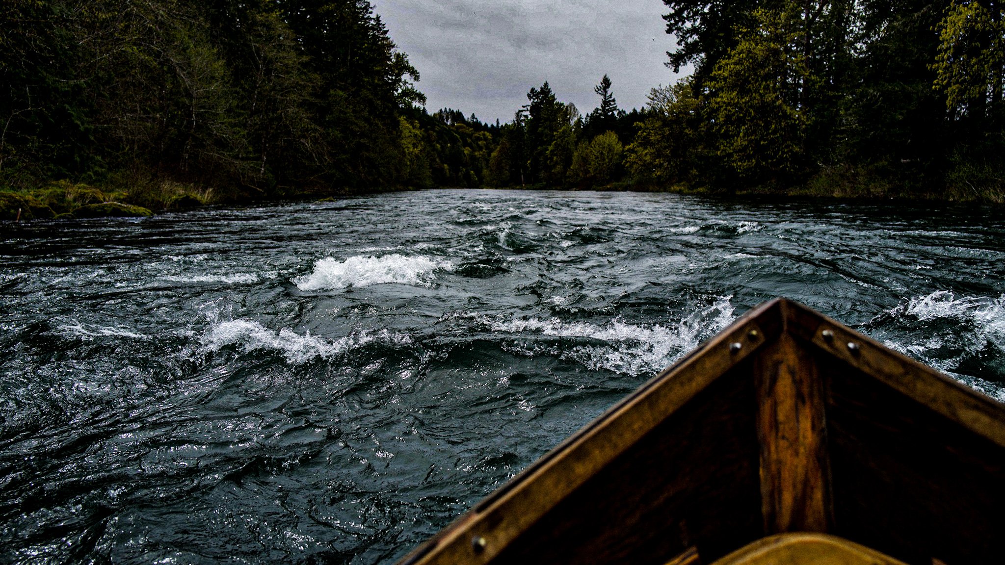 View from a boat on a river with choppy water, surrounded by dense green trees and an overcast sky in the distance.