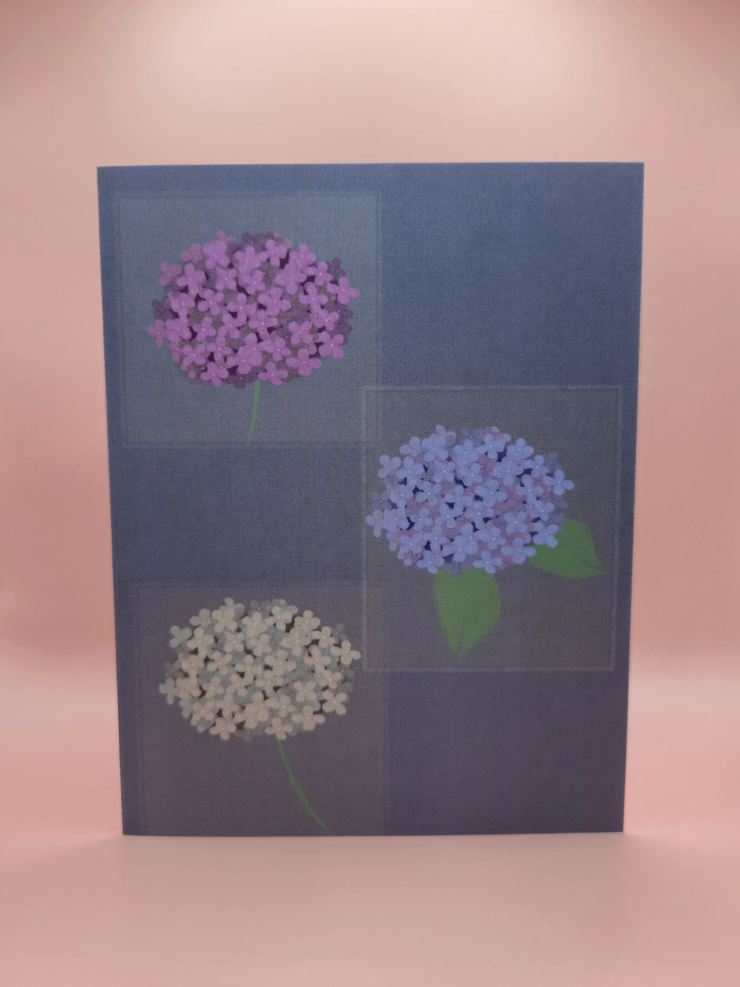 hydrangeas