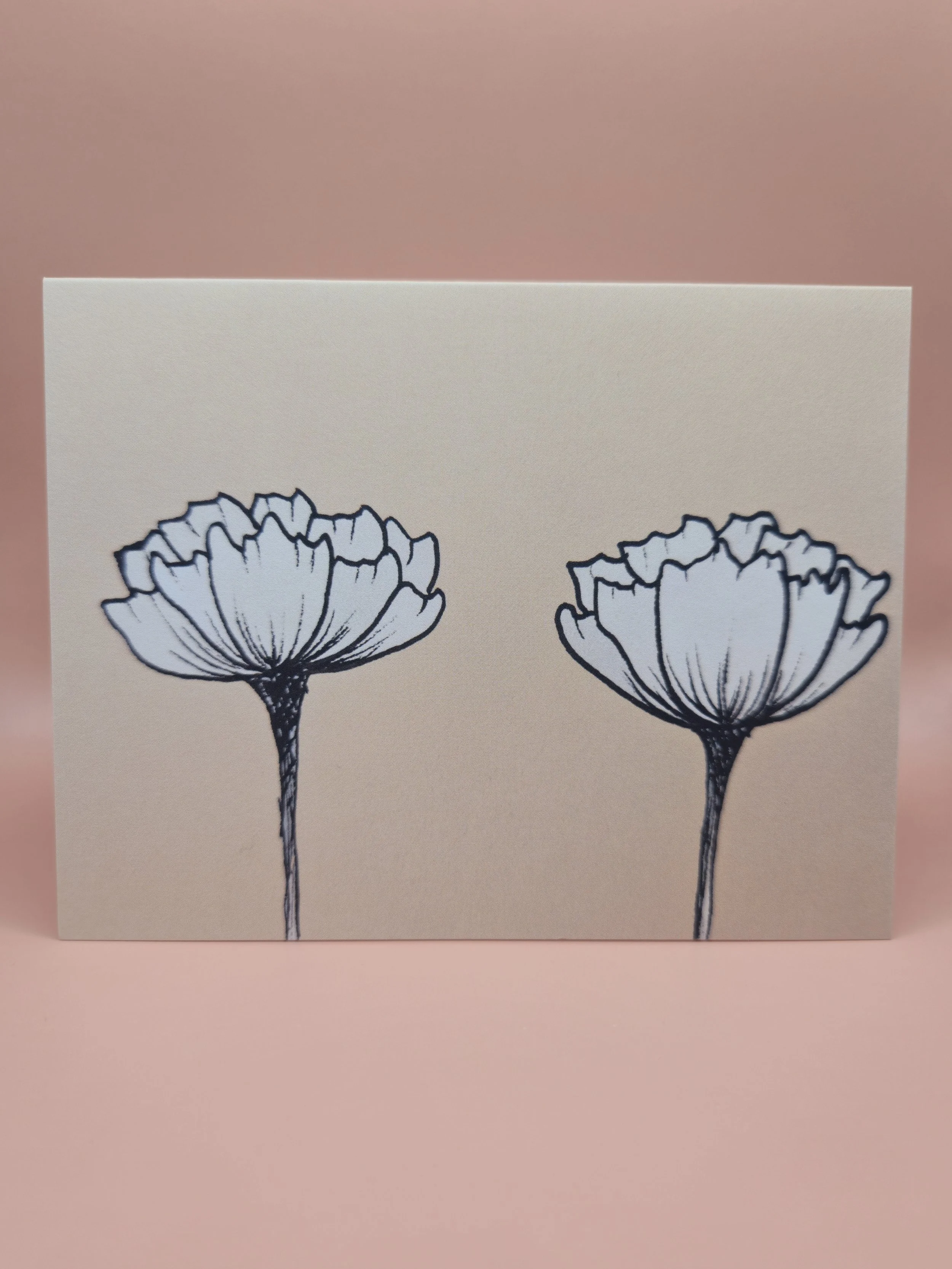 carnations