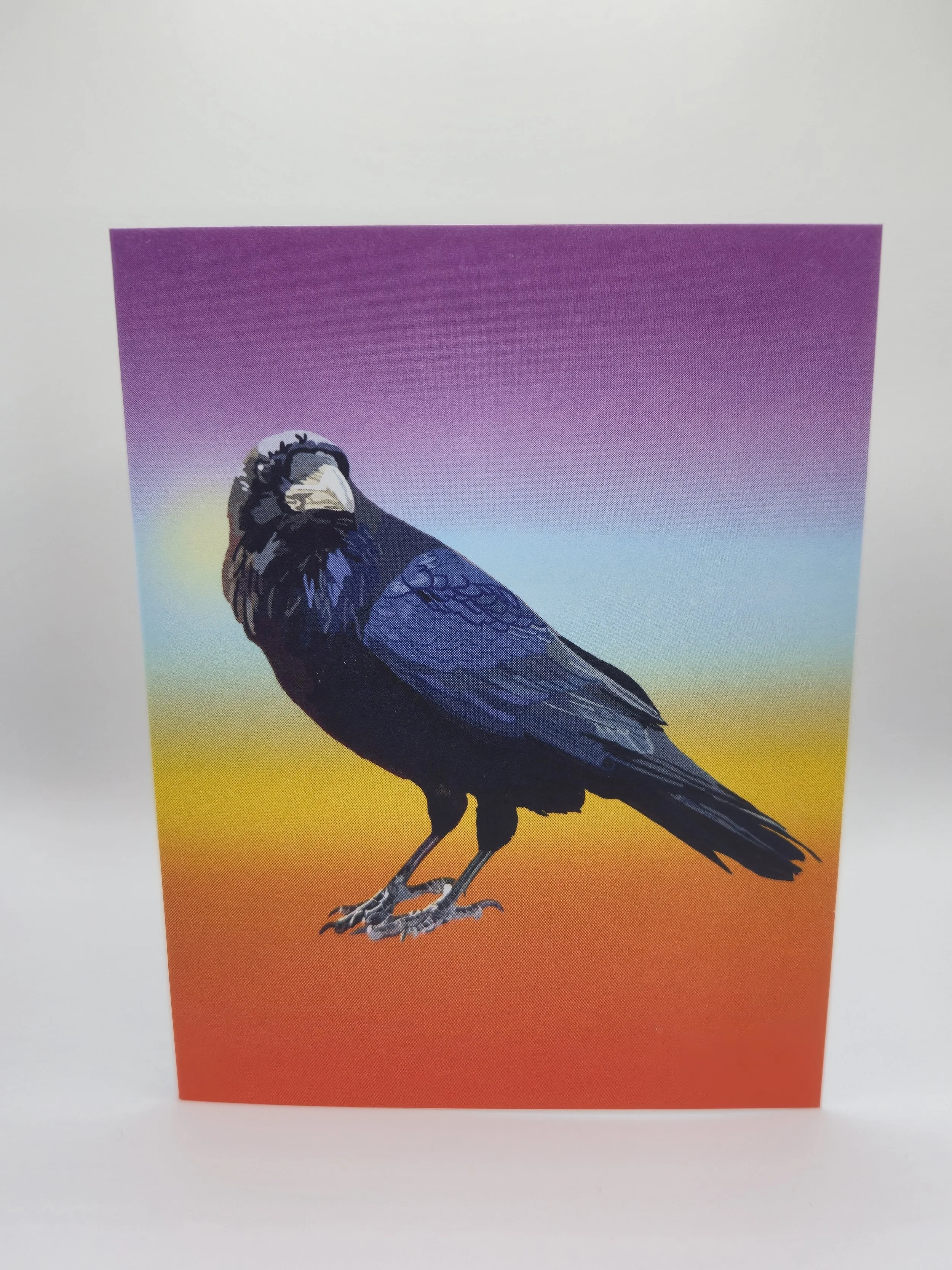 moab raven