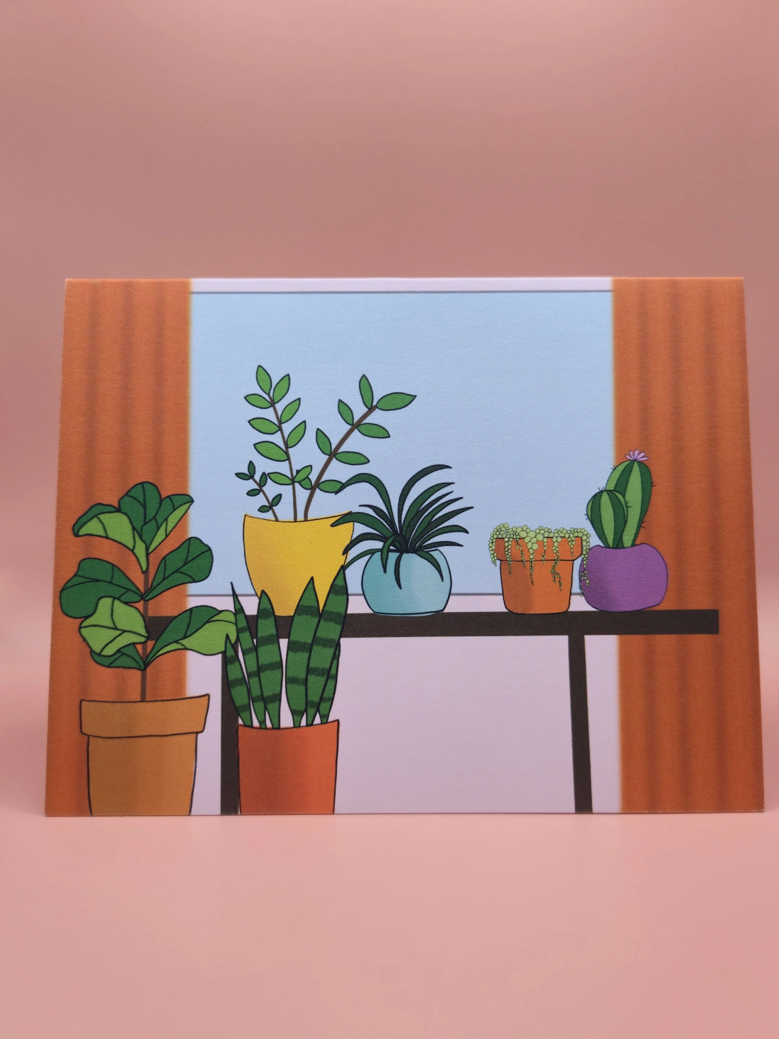 plant window