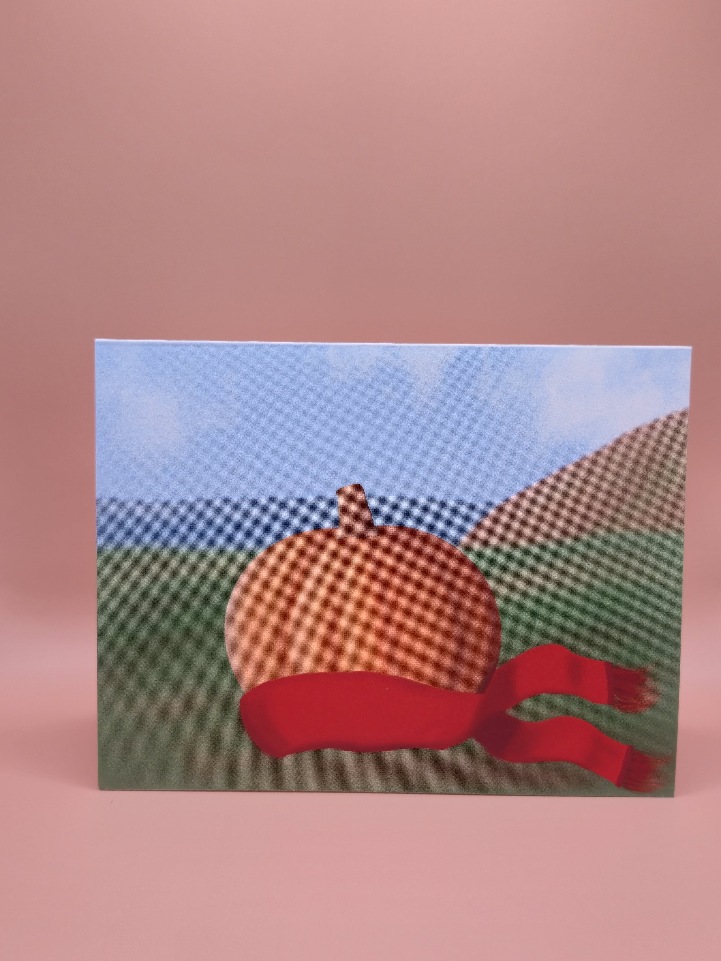 cozy pumpkin