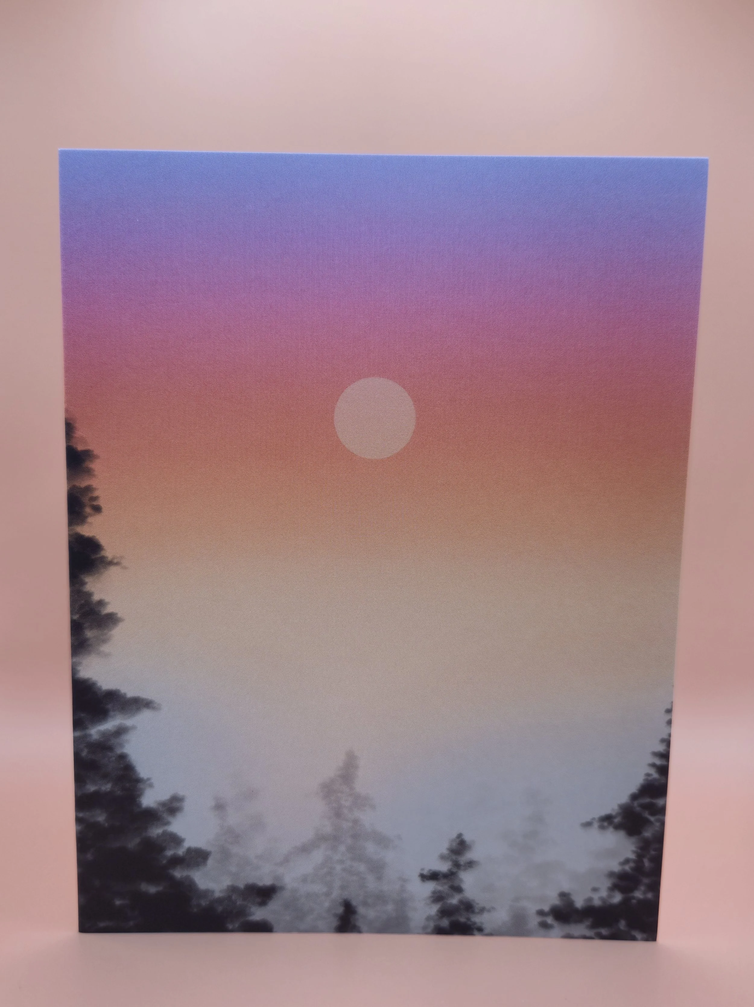 redwood sunset