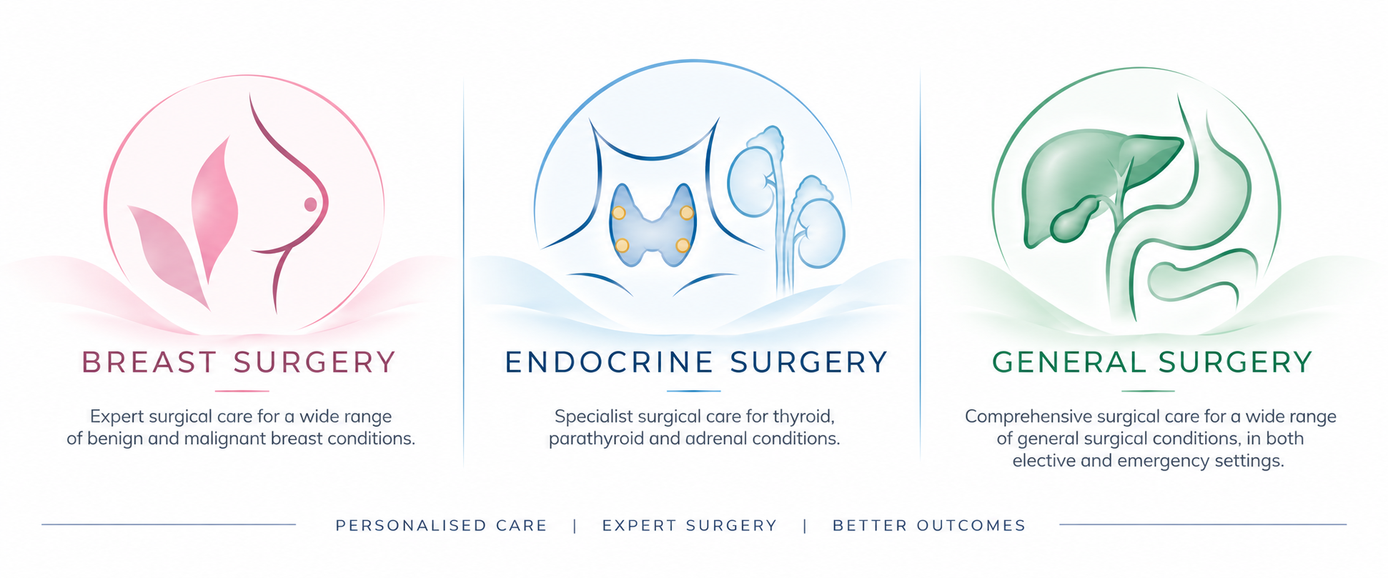 Information about different types of surgeries: breast surgery, endocrine surgery, and general surgery, with icons representing each, including a breast, thyroid and adrenal glands, and digestive system.