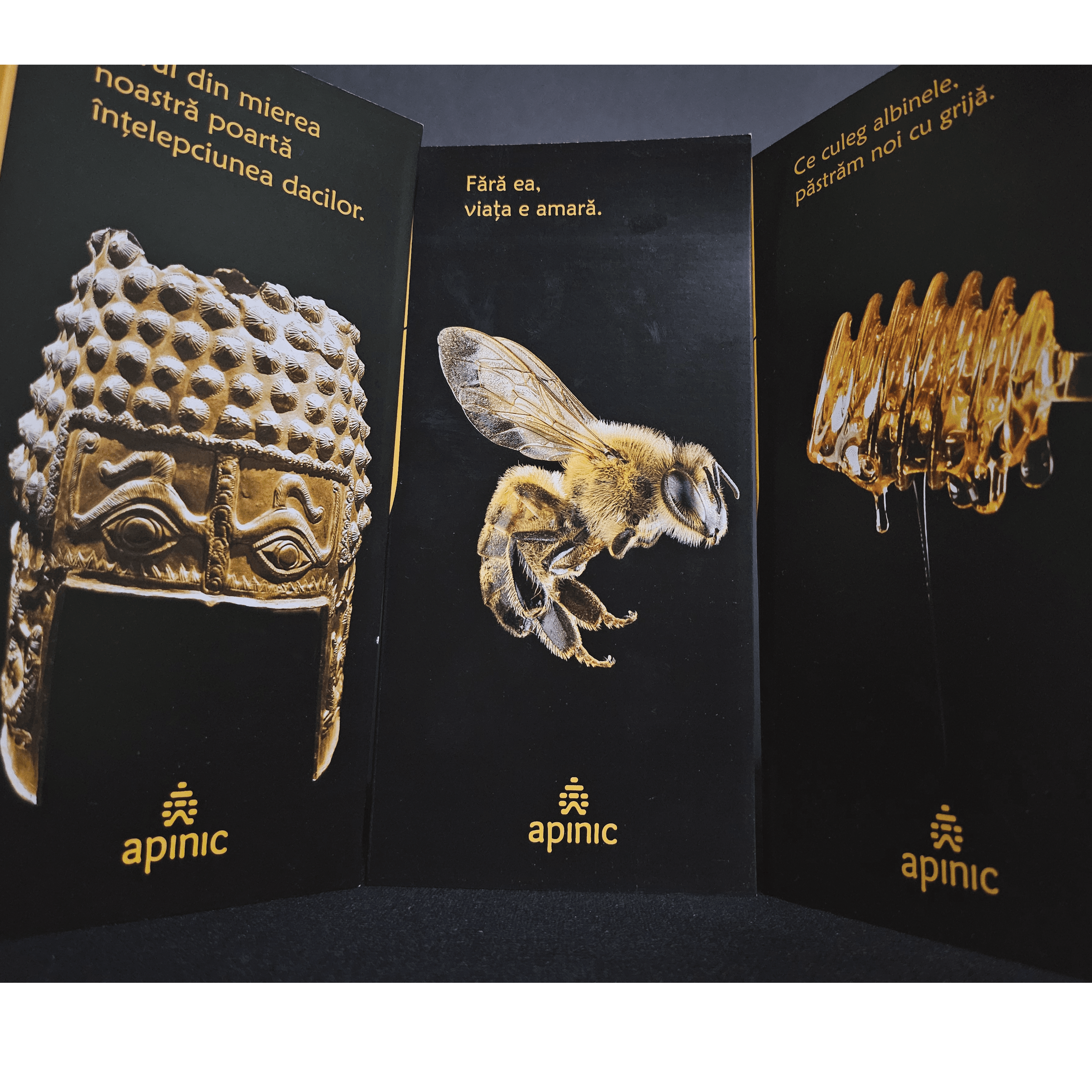 Close-up of a black display panel with gold text and images of honey bees, honeycomb, and honey jars, with the word 'apnic' repeated at the bottom.