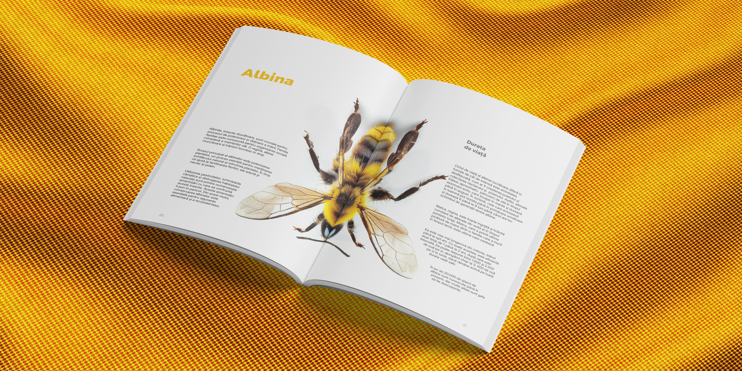 Open book with a large, detailed illustration of a bee and text about it, on a yellow and red patterned table.