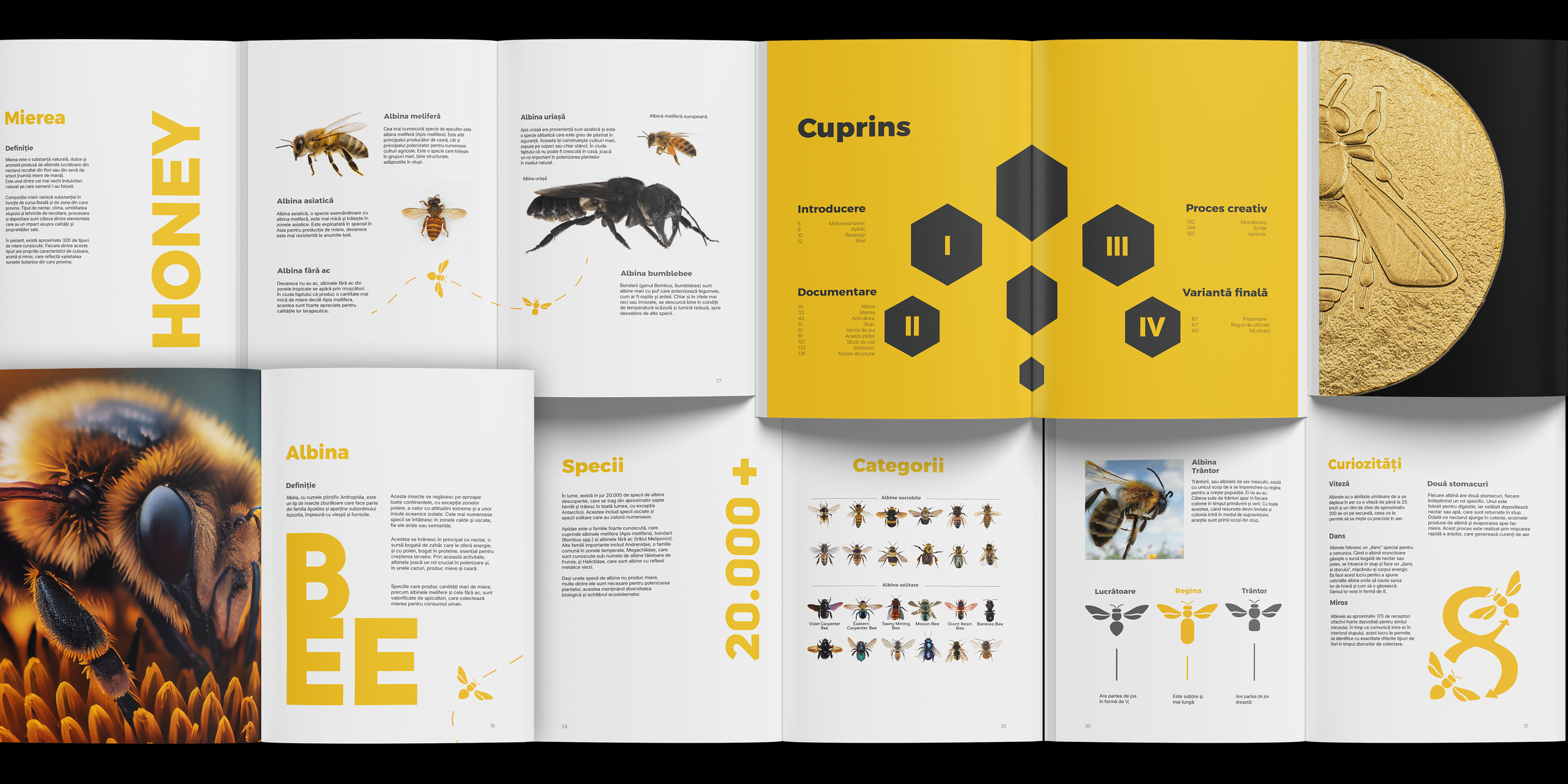 An open book or magazine spread about bees, honey, and insect species, with images of bees, honeycombs, and pages with text and diagrams, featuring a yellow and black color scheme.