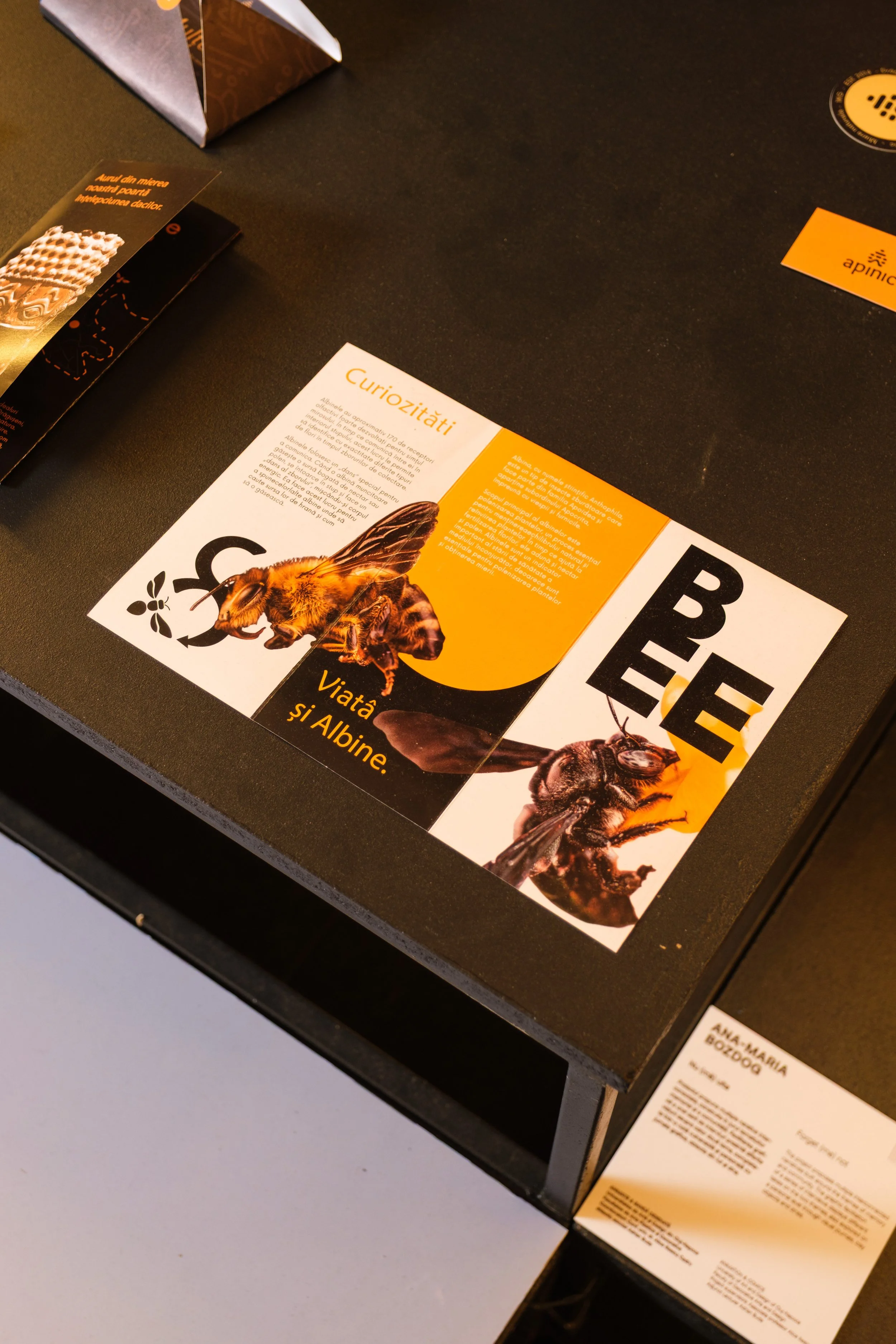 Informational display about bees and albine life, featuring a large image of a bee on a brochure on a black table with additional brochures and informational cards.