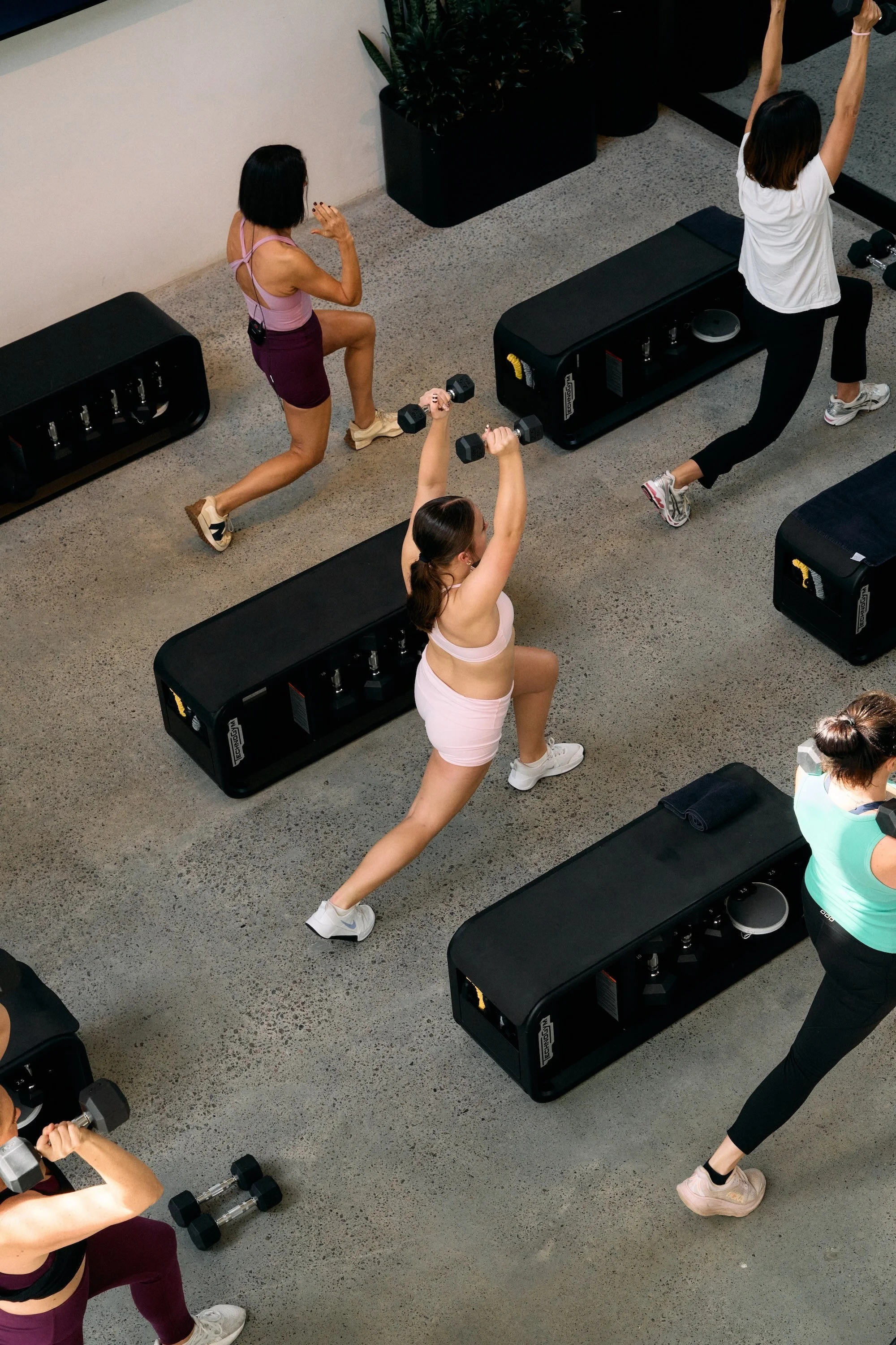 Group of women exercising with weights and yoga stretches in a gym or fitness studio