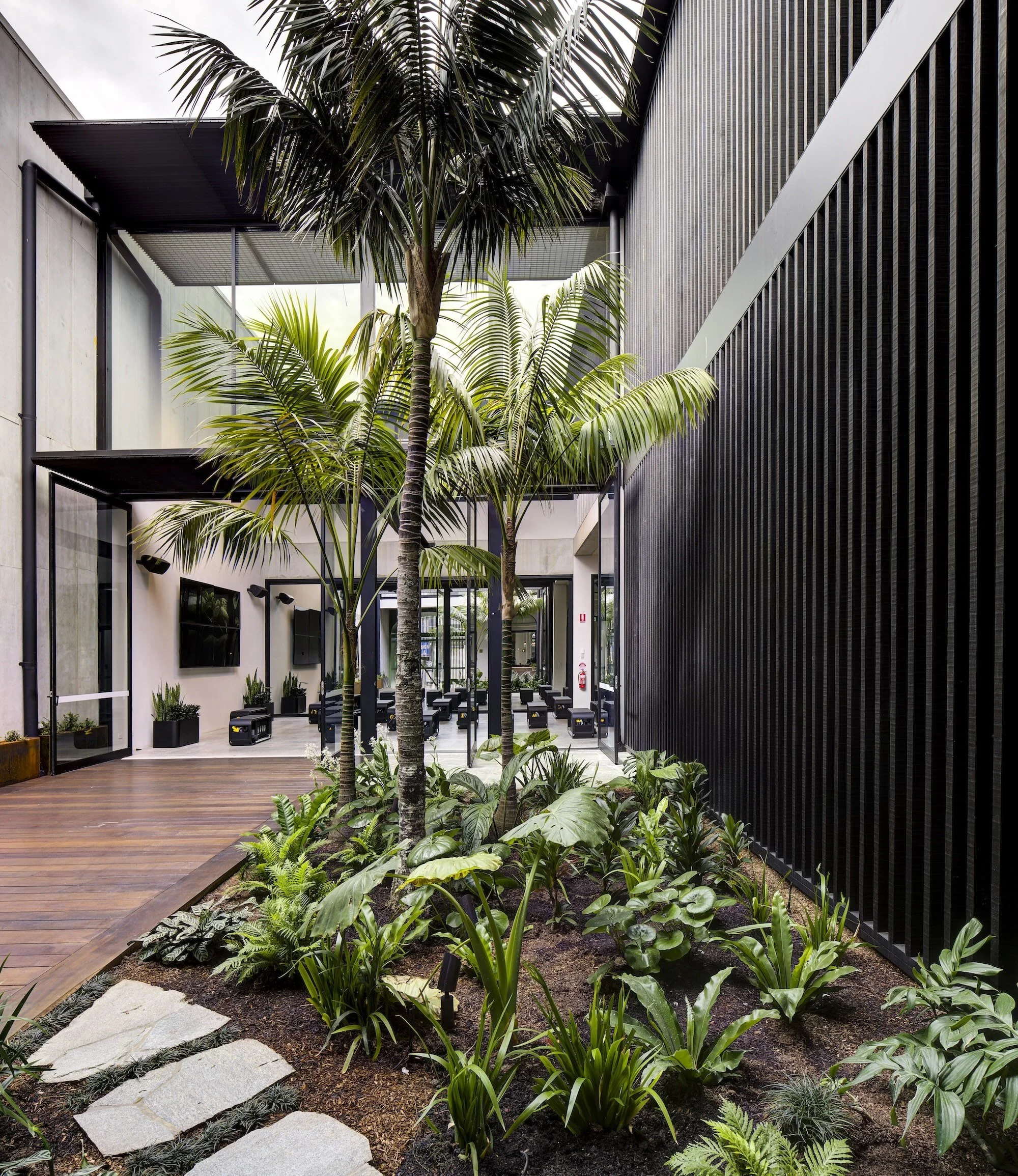 Indoor garden with tall palm and lush green plants, modern black building walls, and a wooden pathway.