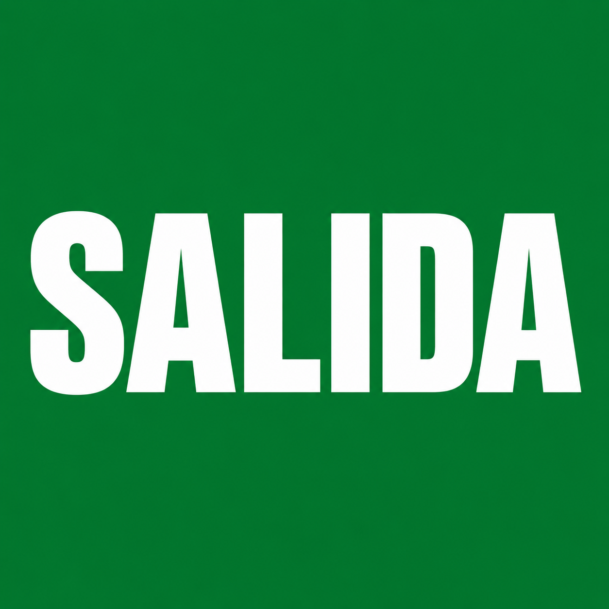 Salida_alta_resolucion.png