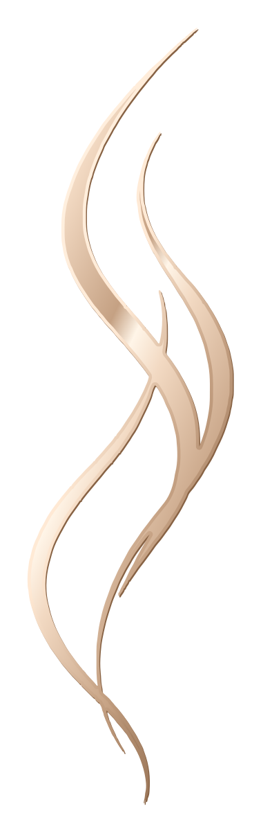 Studio INTIM – signatur i champagne