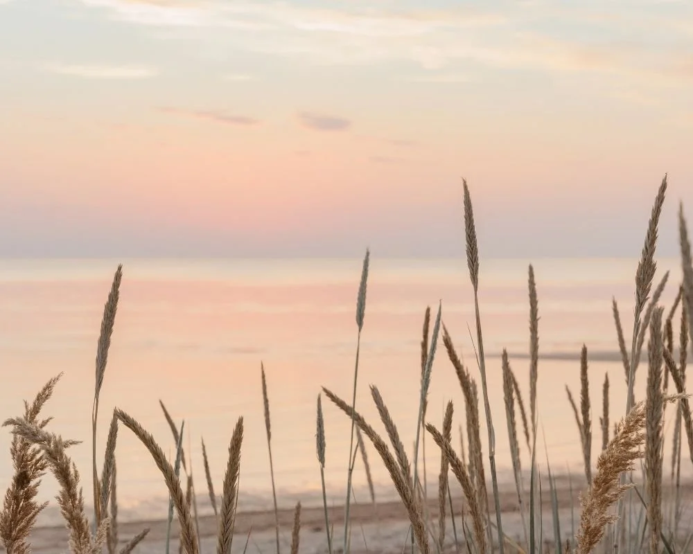 Inner Good Psychology, EMDR Intensive Blocks and Individual Therapy, Townsville, QLD
