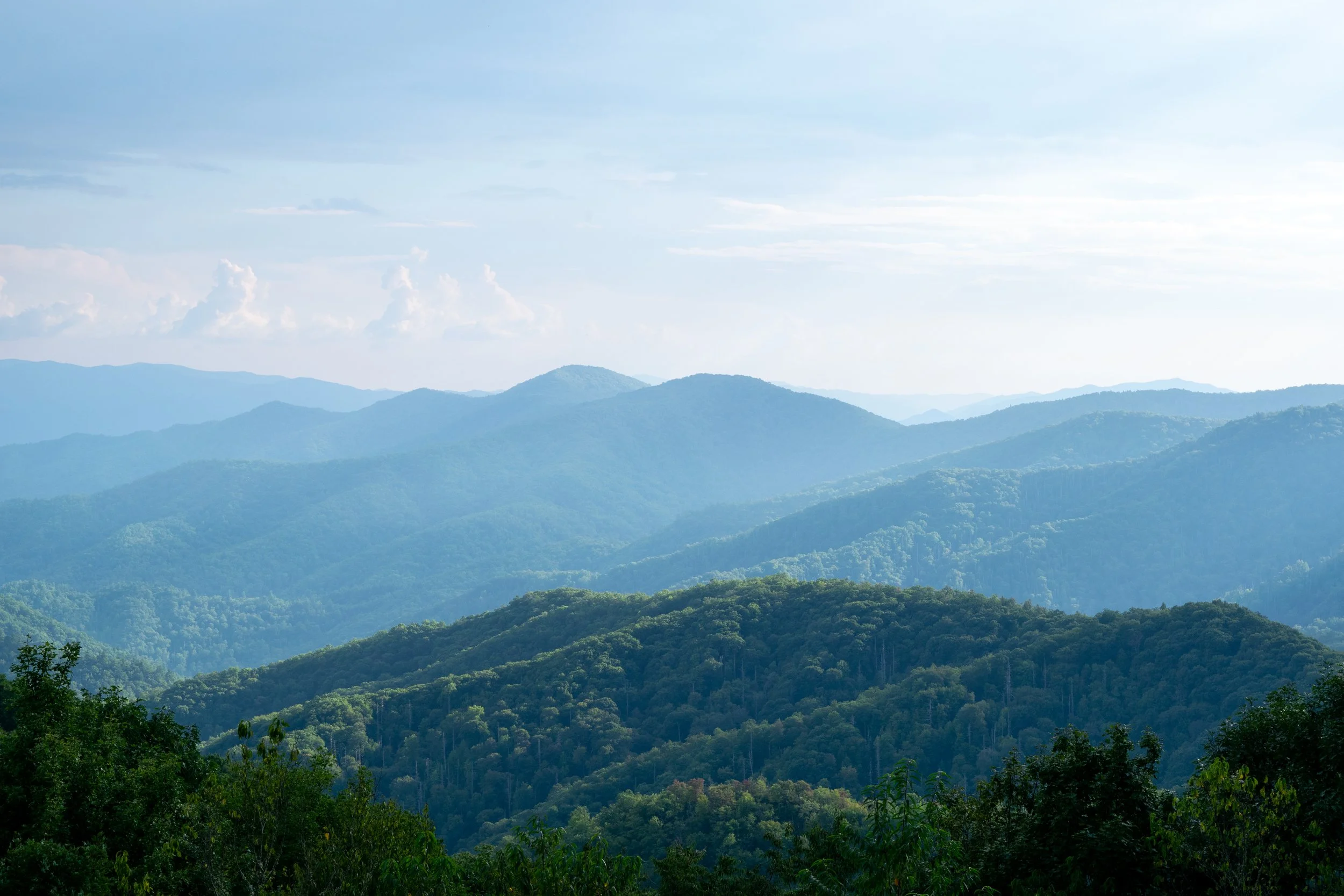 DSC_0558.jpg