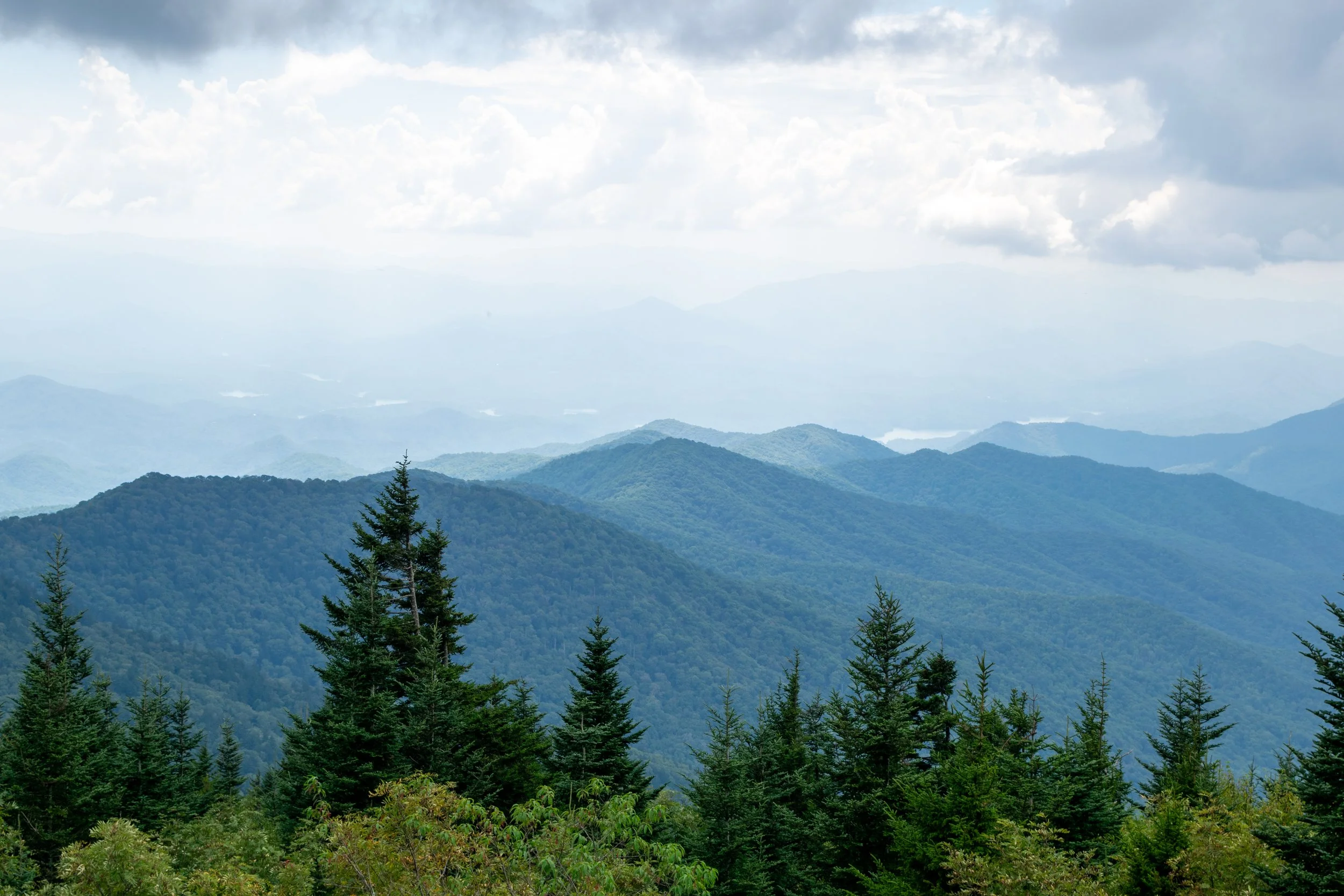 DSC_0625.jpg