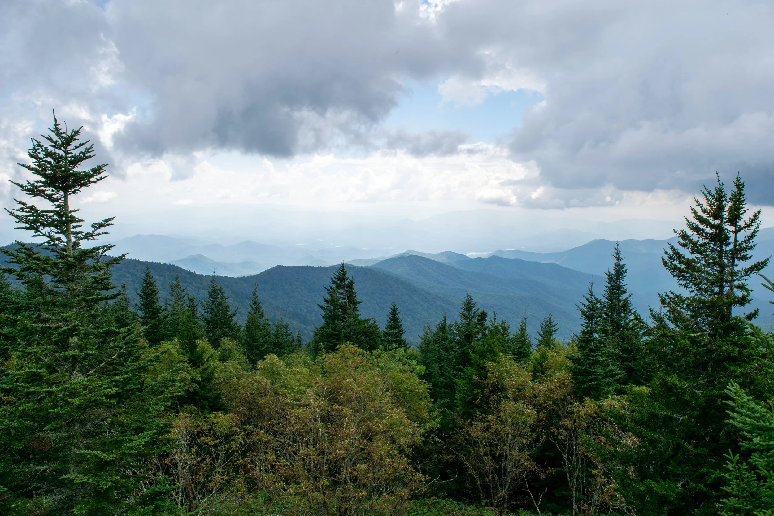 DSC_0628.jpg