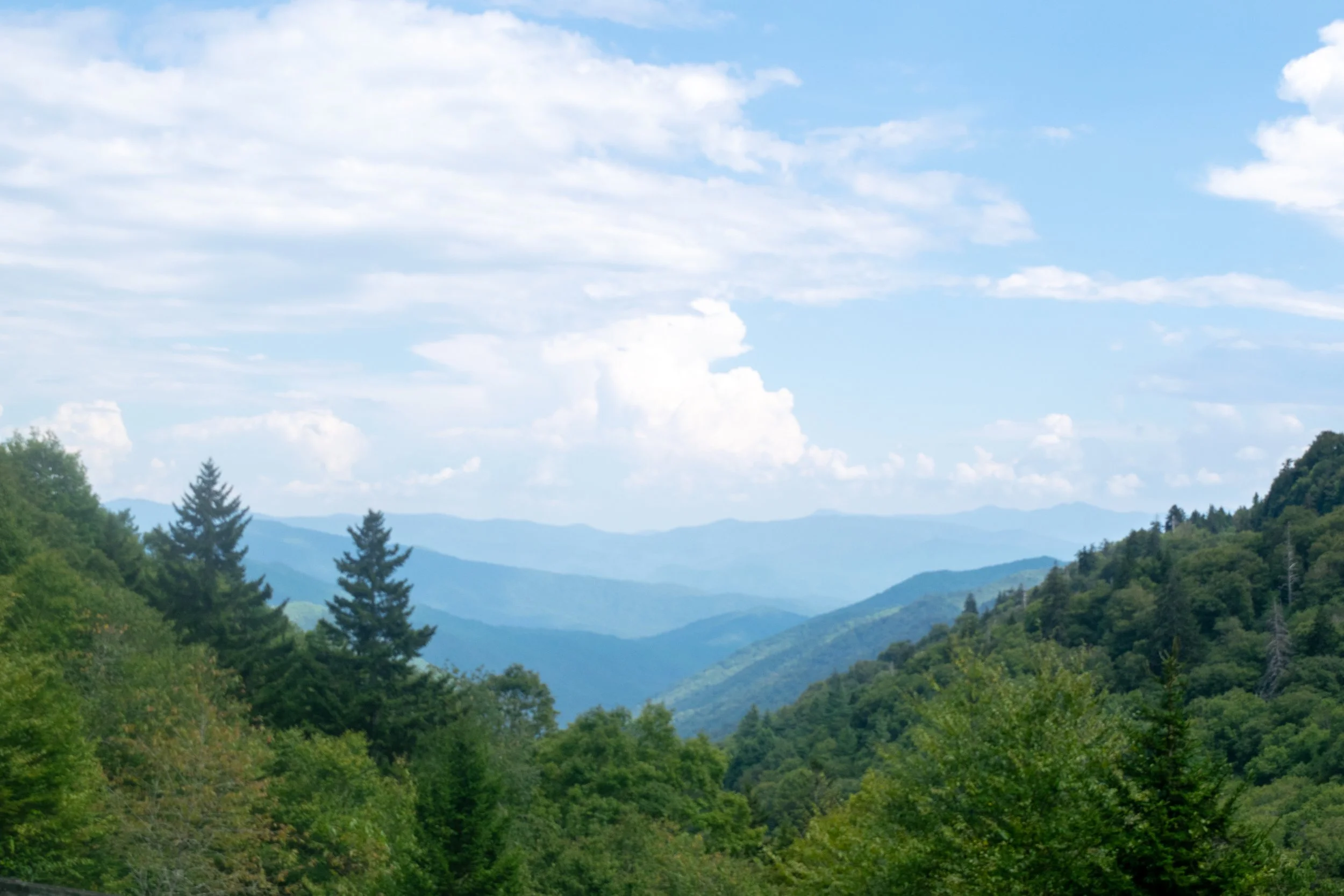 DSC_0676.jpg