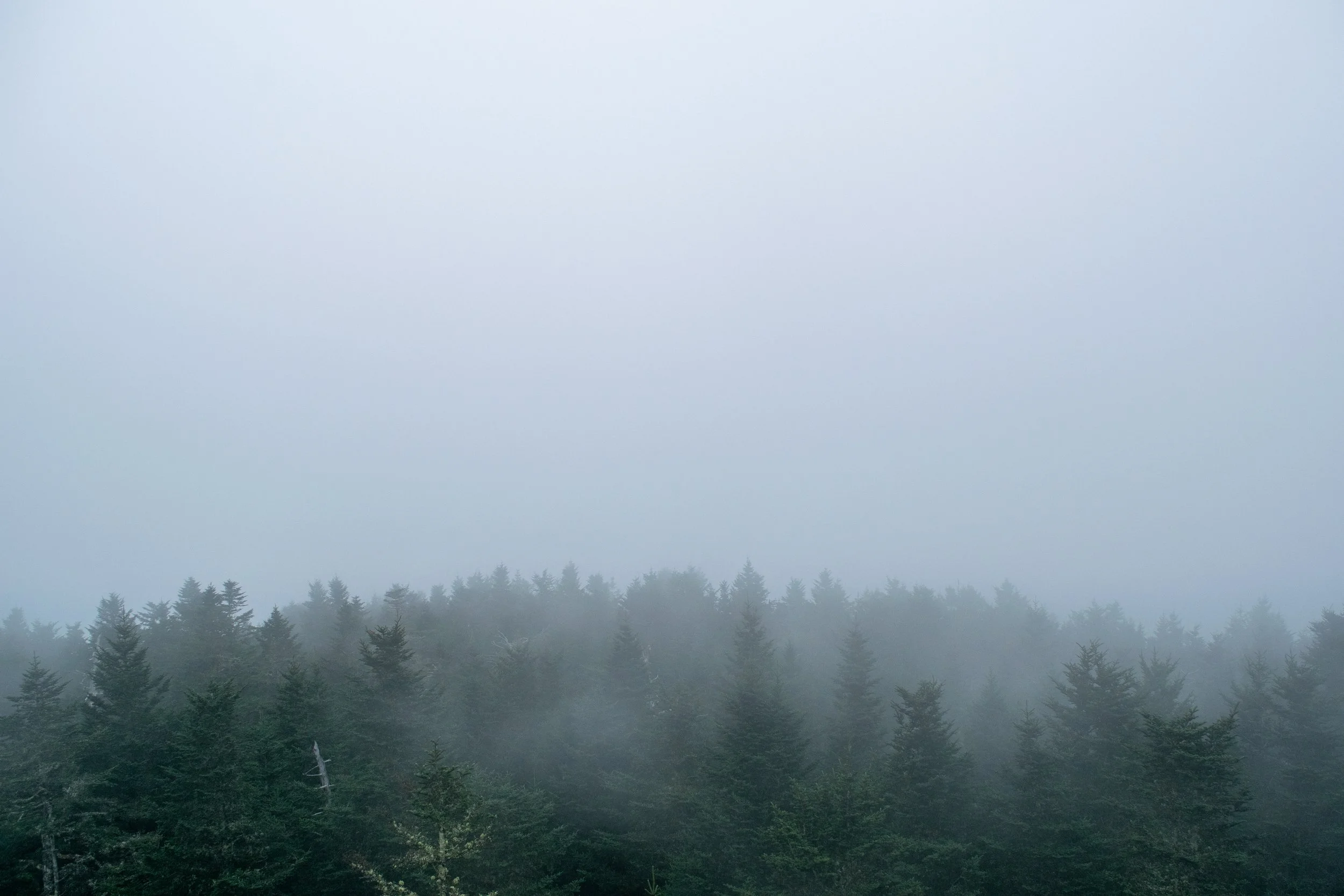 Great Smoky Mountain feeling extra misty this afternoon.