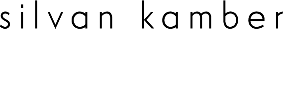 Silvan Kamber Immobilien