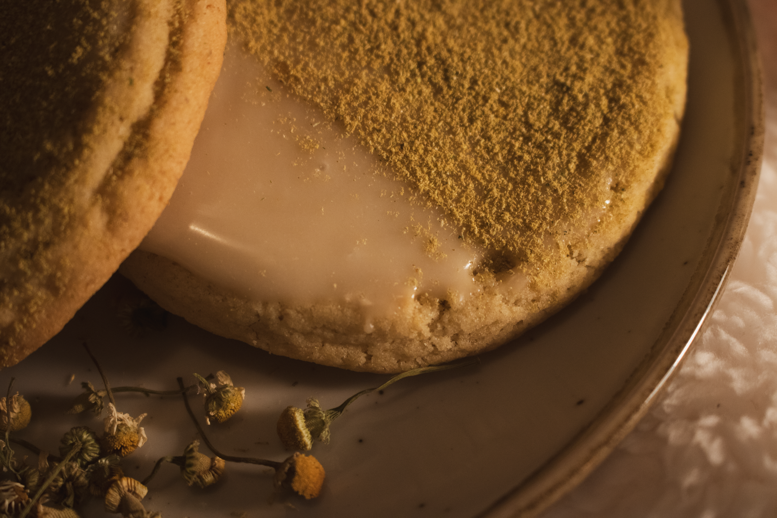 PNG Cookie set(1)EDIT-34.png
