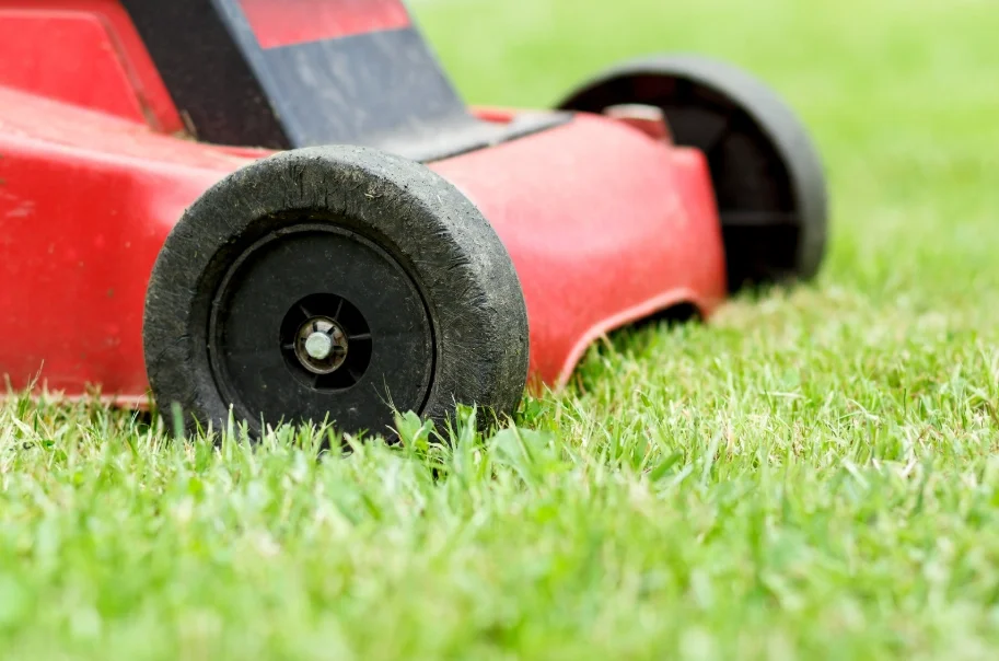 From Overgrown to Outstanding: A Property Walkthrough