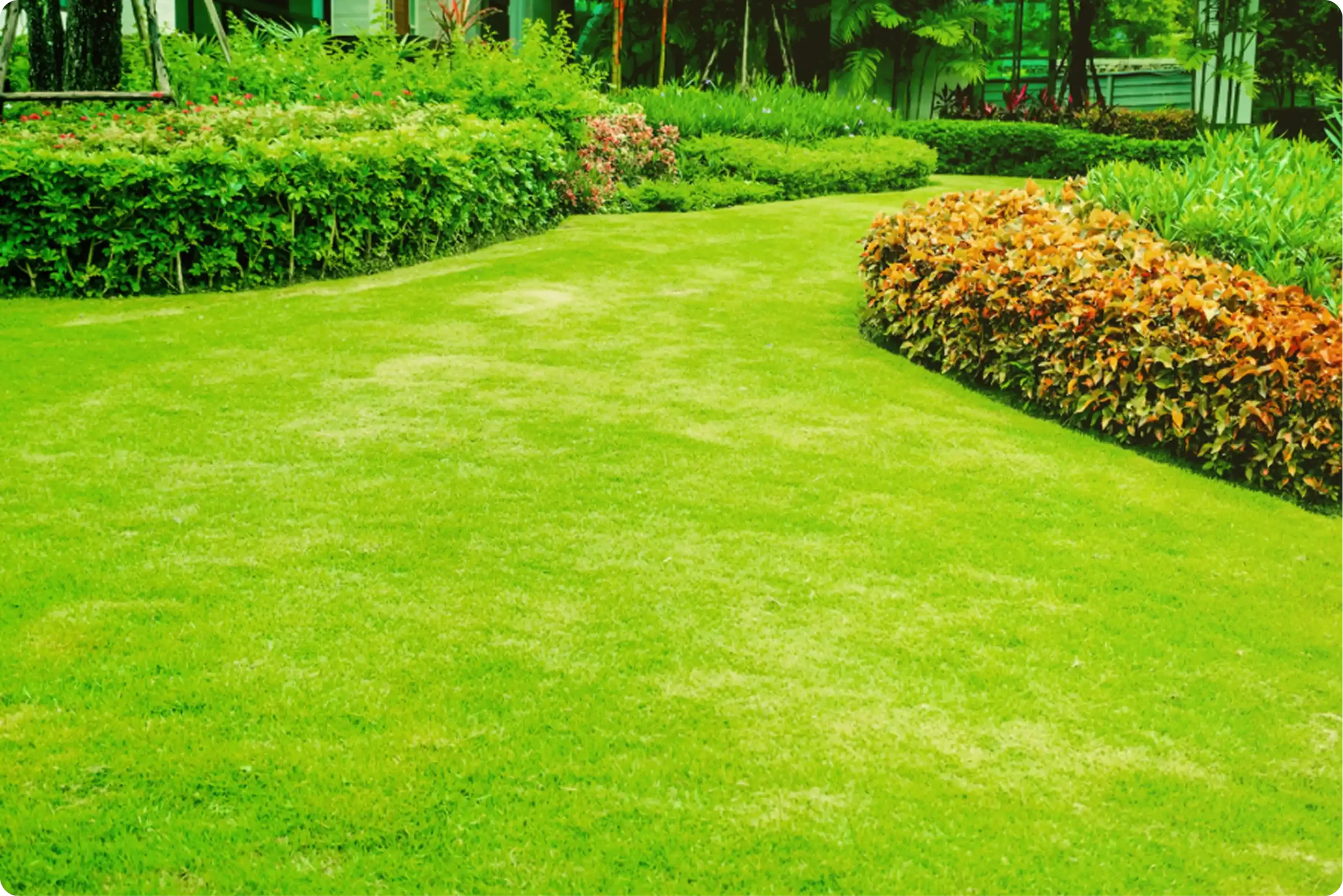 From Neglected Spaces to Renewed Places: Our Story