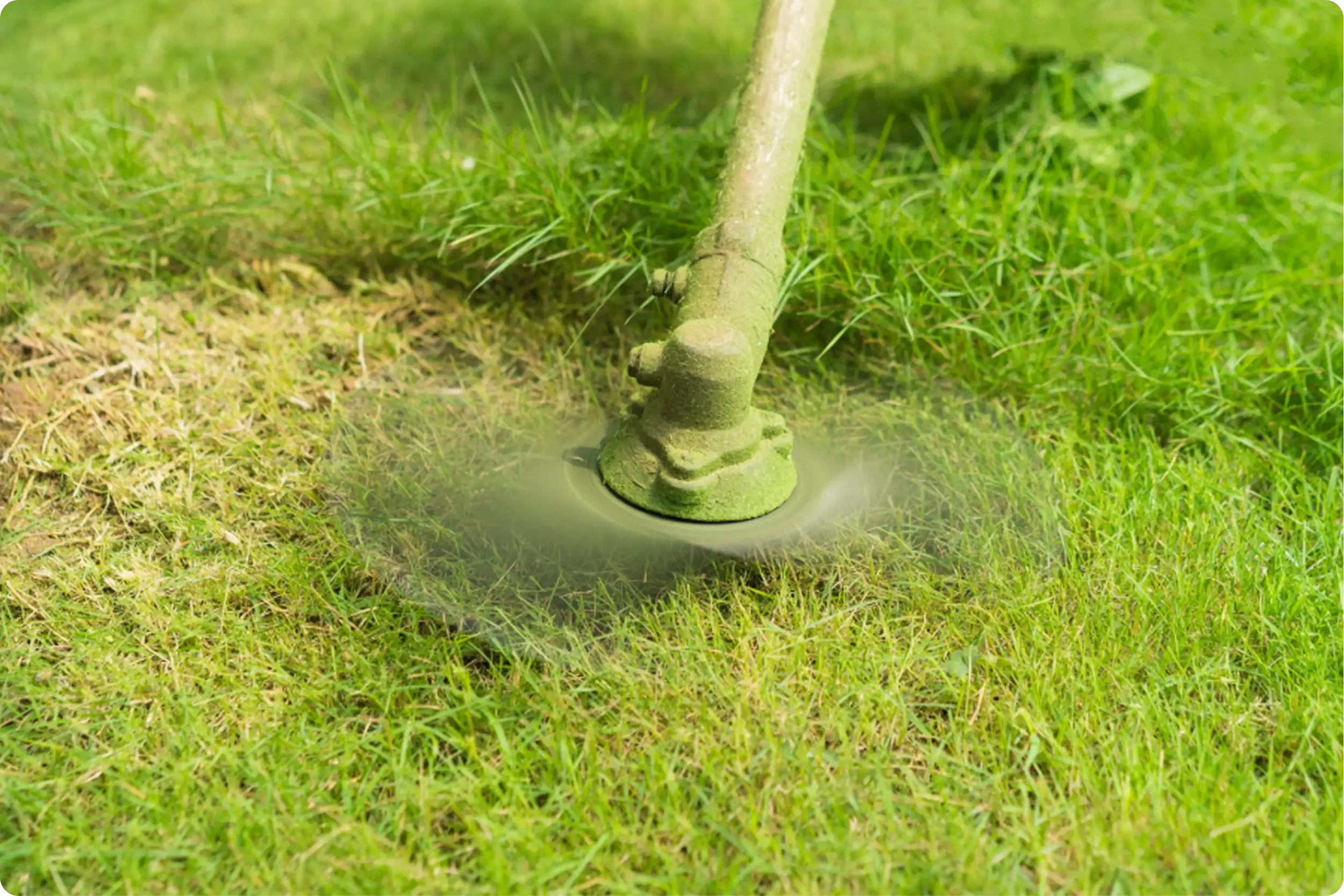 5 Signs It's Time to Call in a Property Maintenance Professional
