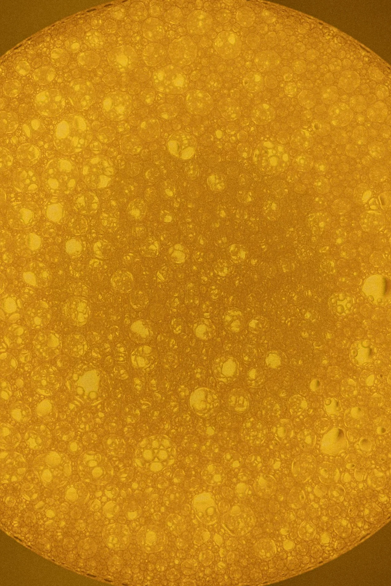 6C7A6277.jpg