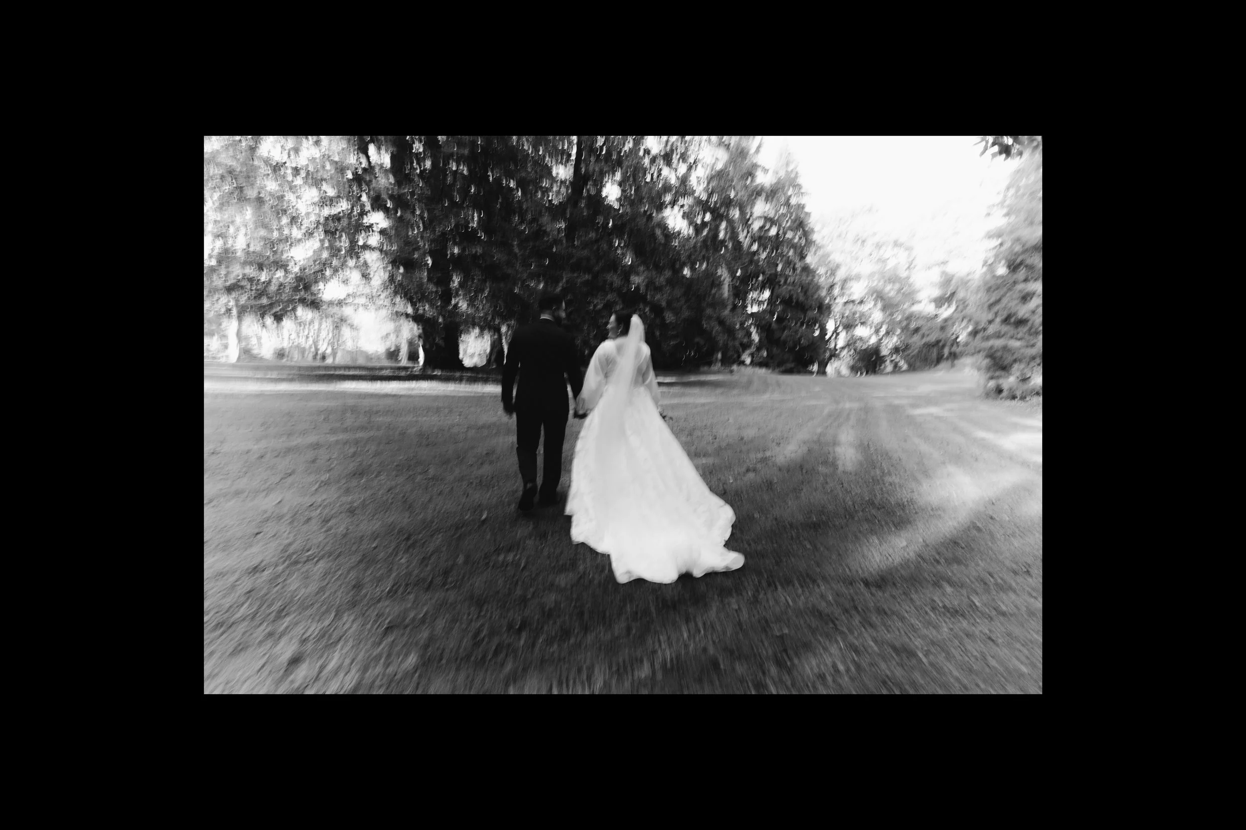 IV1A1360 copy.jpg