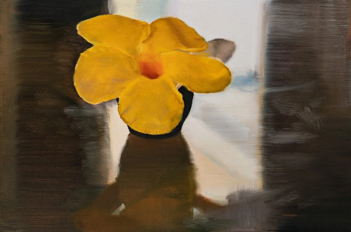 Yellow flower, 2026, oil on board, 15 x 22.5 cm
