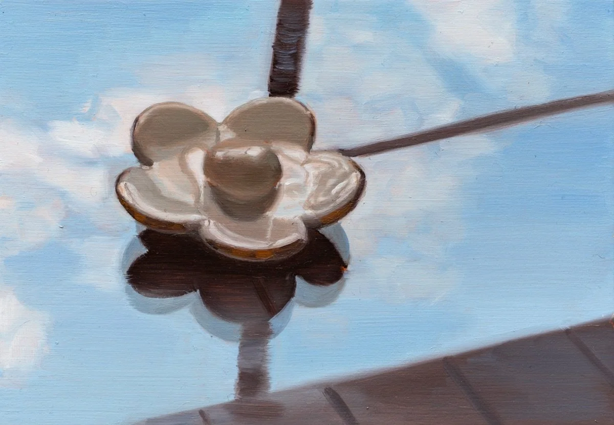 Ceramic flower, 2024, oil on board, 13 x 18.5 cm