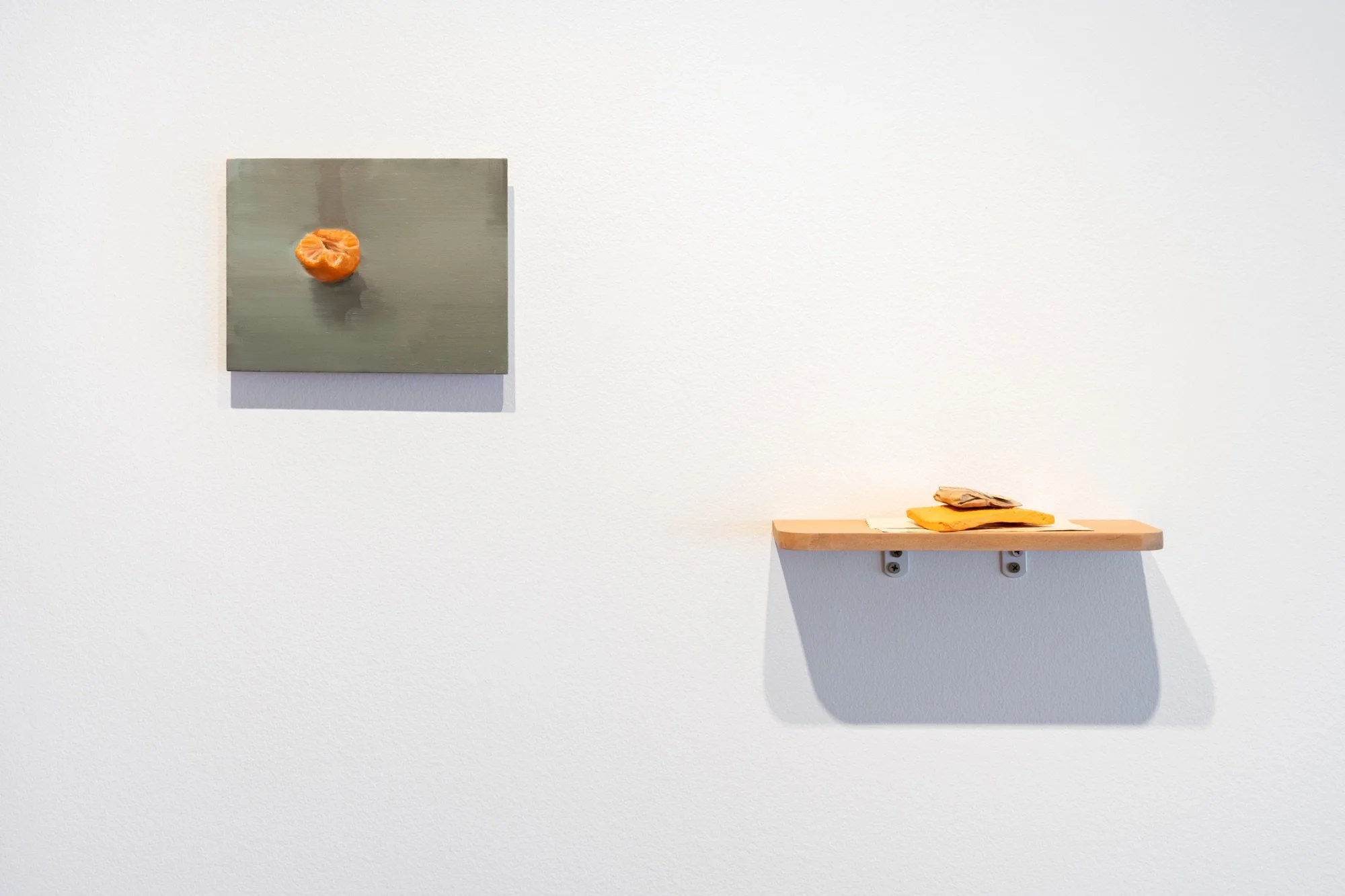 'Shelf life' install view