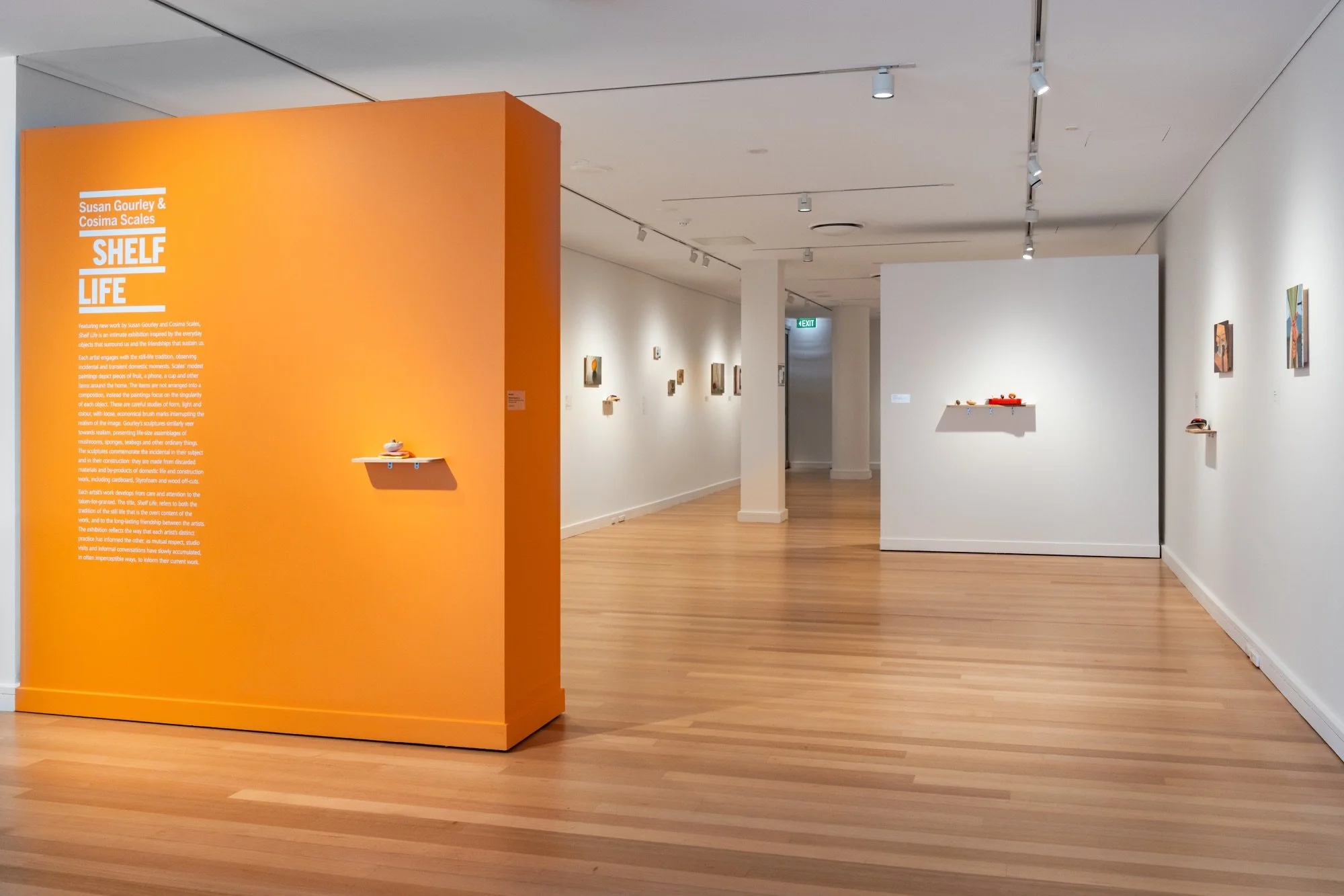 'Shelf life' install view