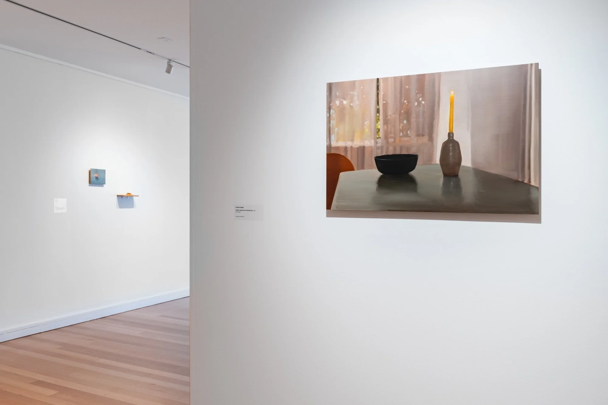 'Shelf life' install view