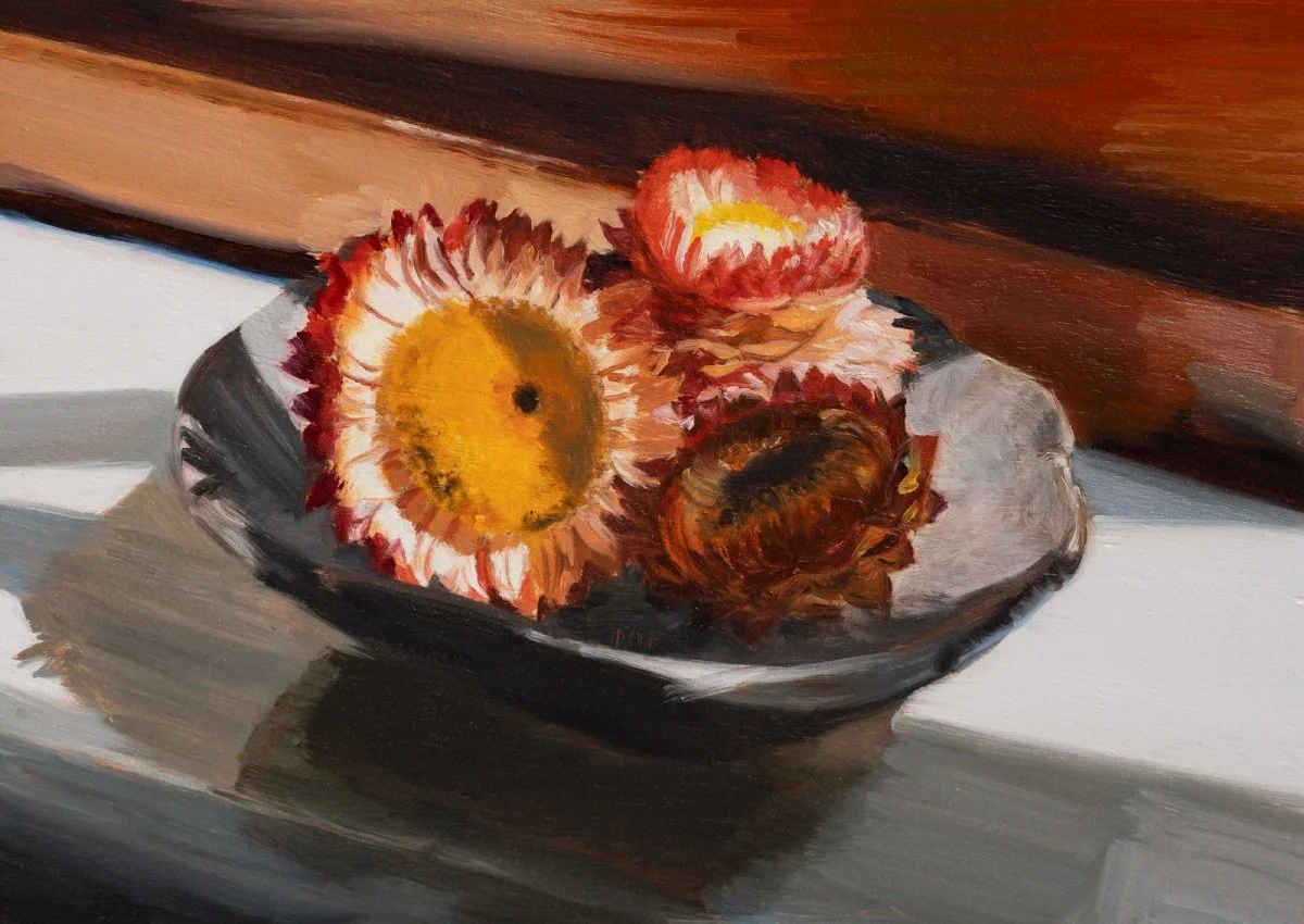 Paper daisies (windowsill), 2026, oil on board, 12 x 17 cm