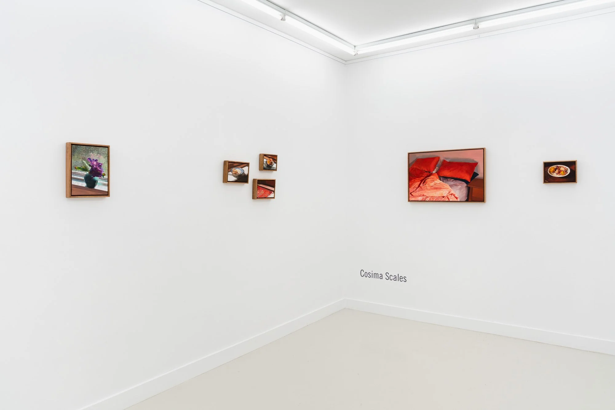 'Lantern focus' install view