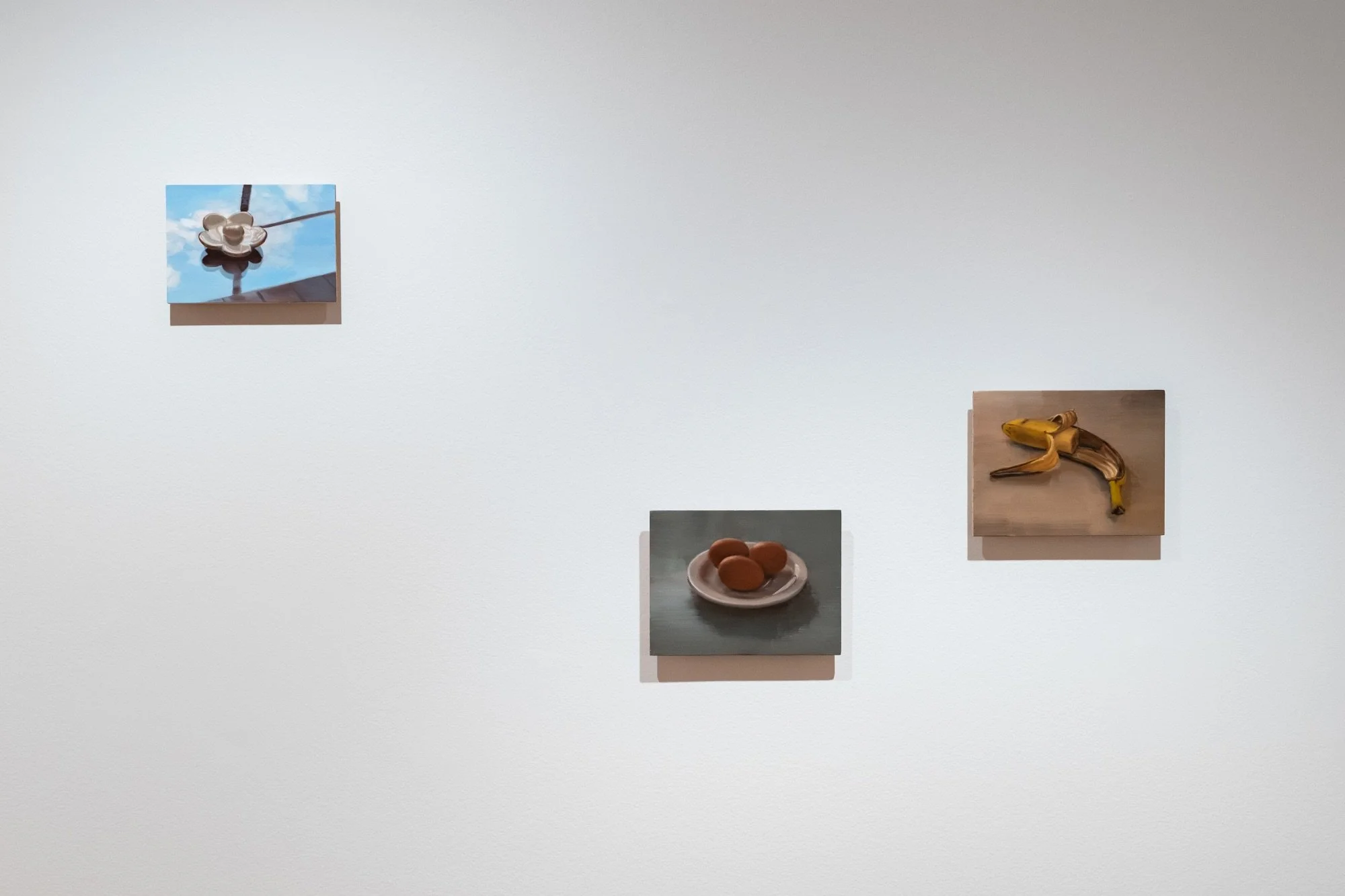 'Shelf life' install view