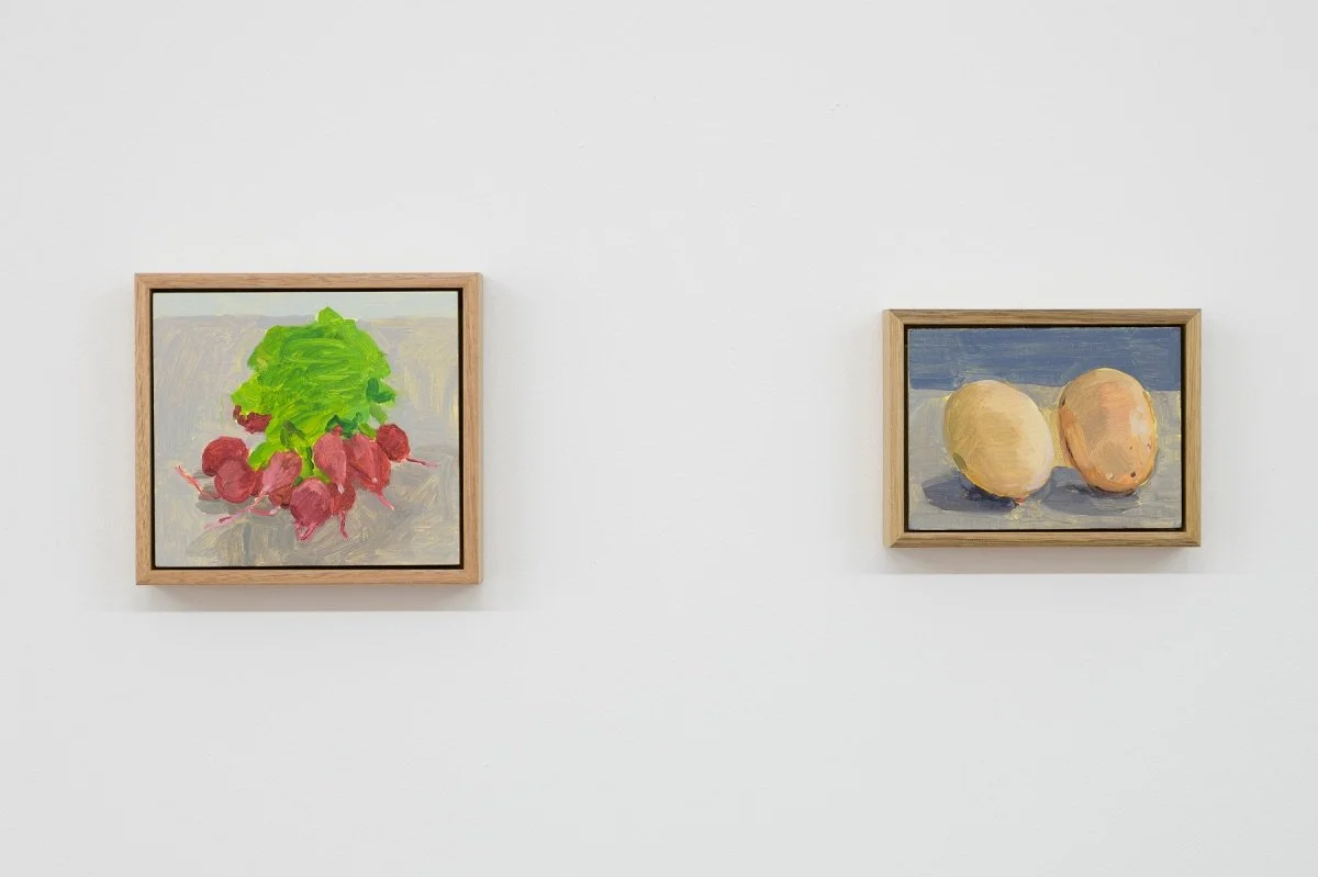 'Indoors' install view
