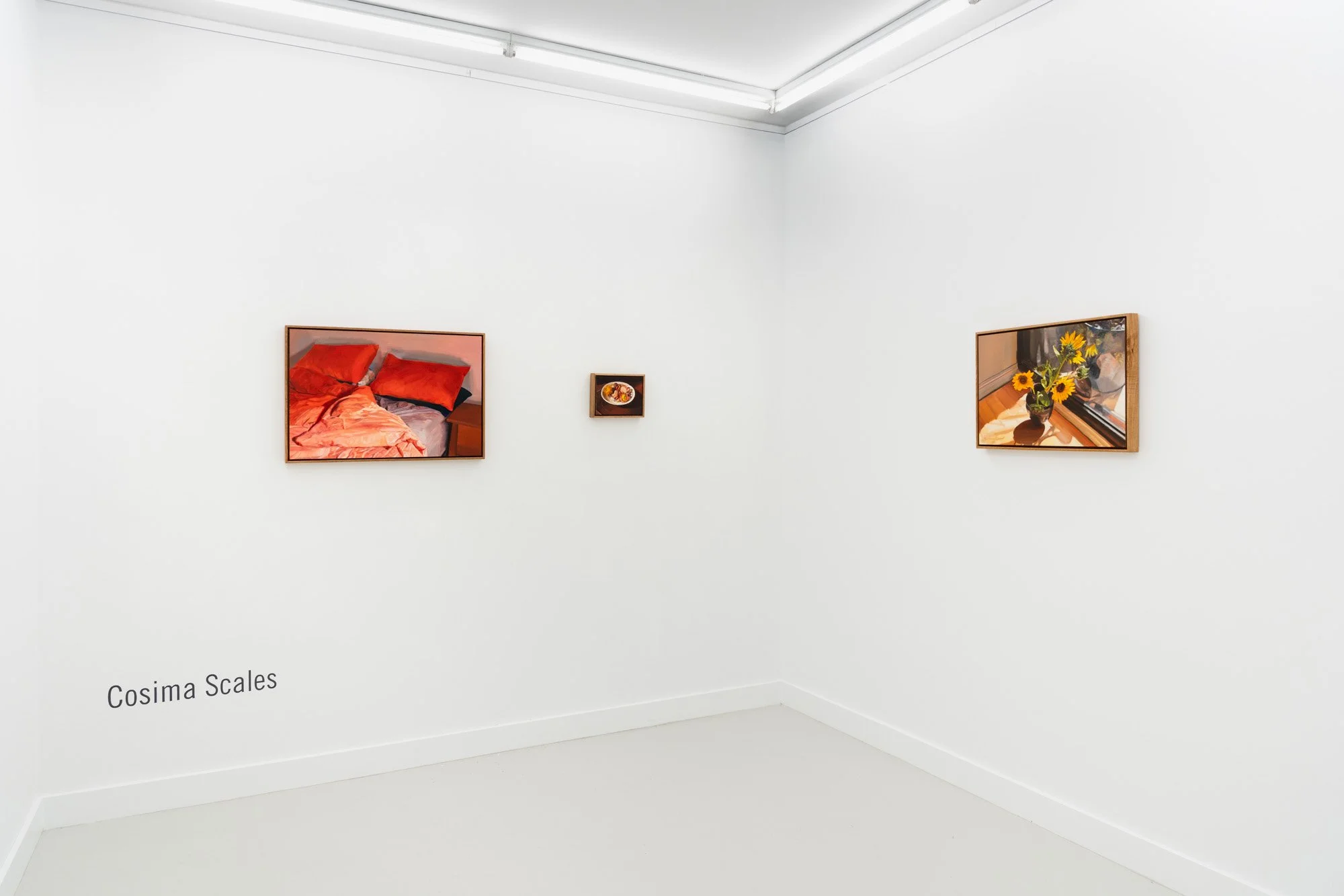 'Lantern focus' install view