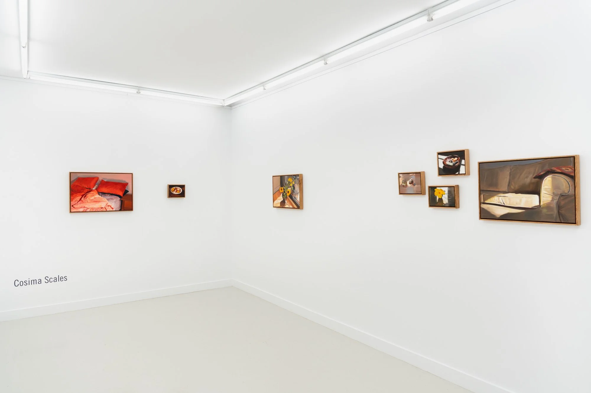 'Lantern focus' install view