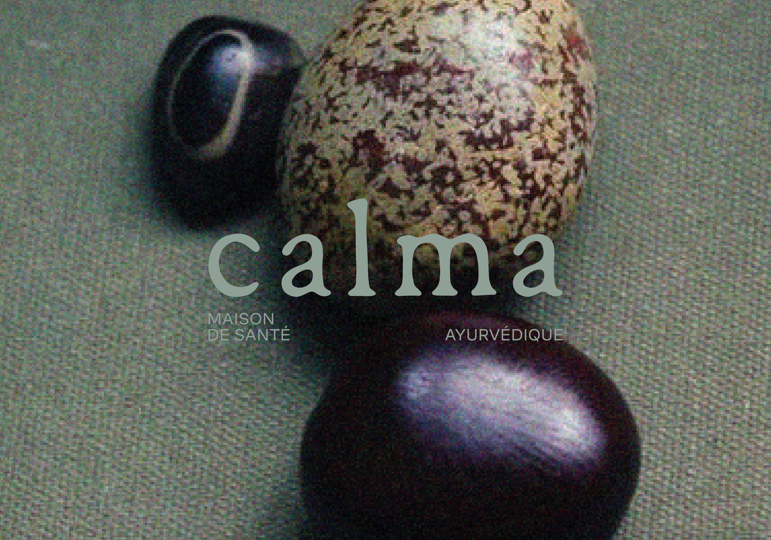 CALMA_01_Plan de travail 1 copie 2.png