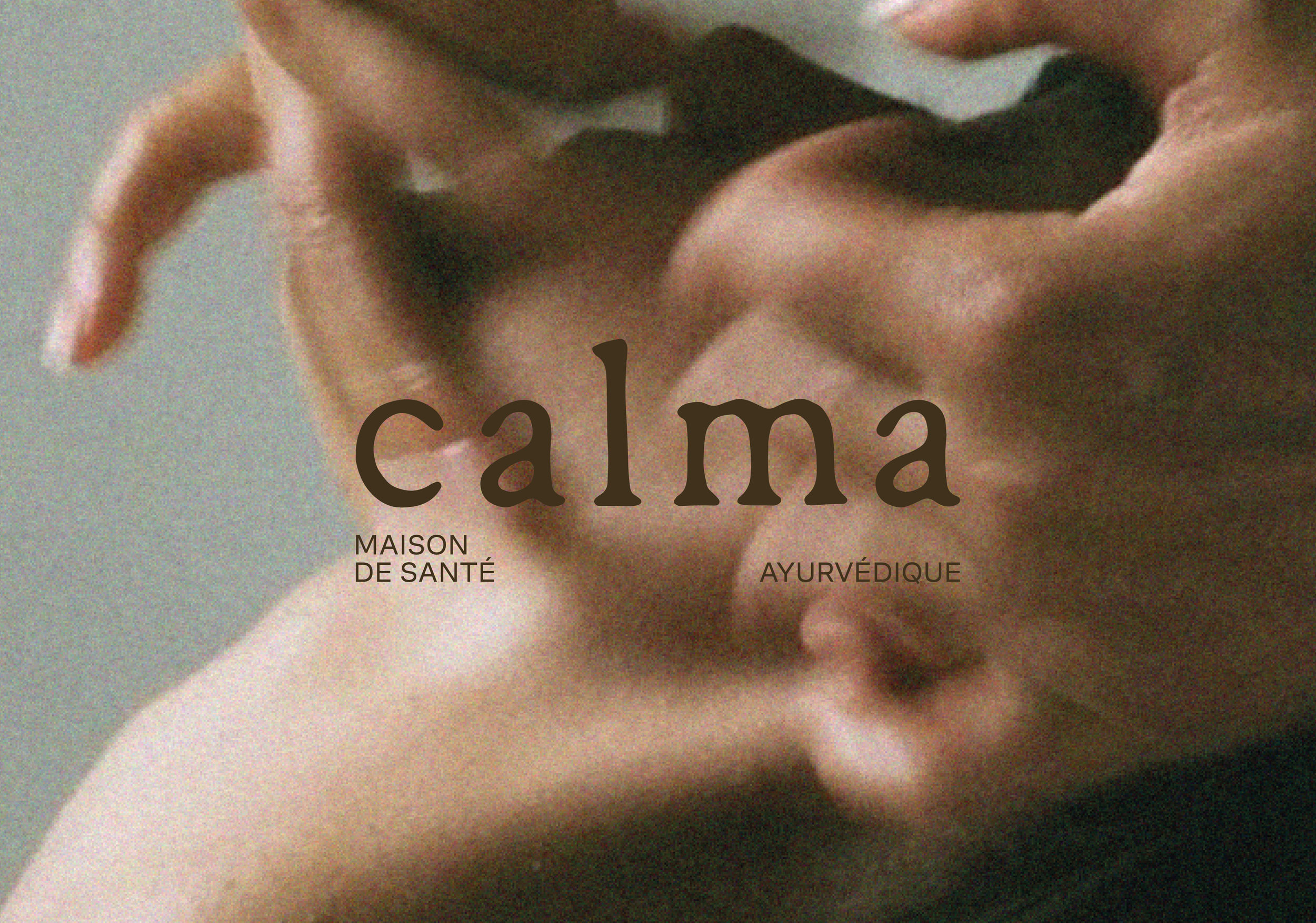 CALMA_01_Plan de travail 1 copie.png