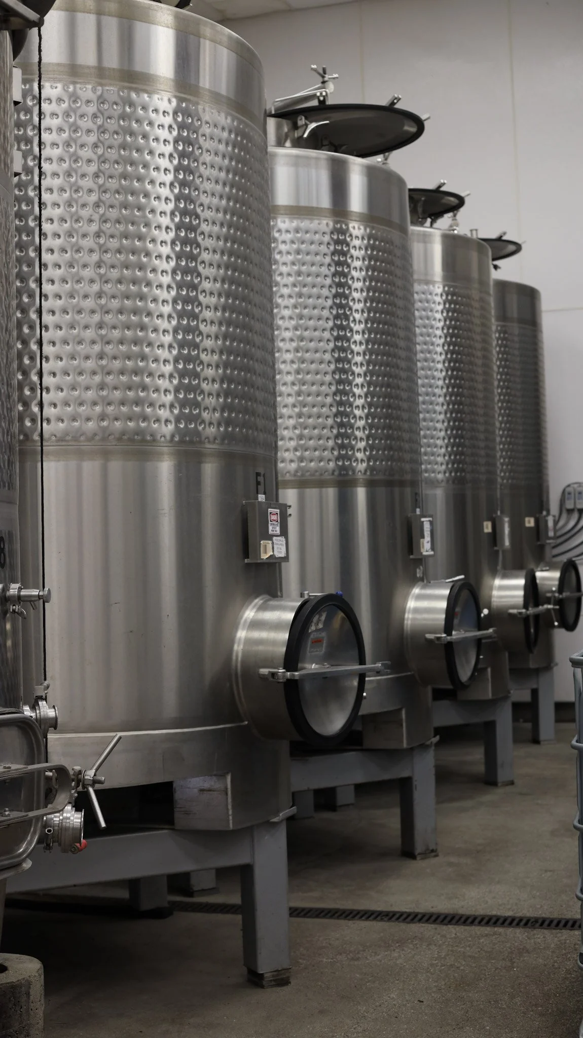 Multiple large stainless steel industrial fermentation tanks in a clean, organized facility.