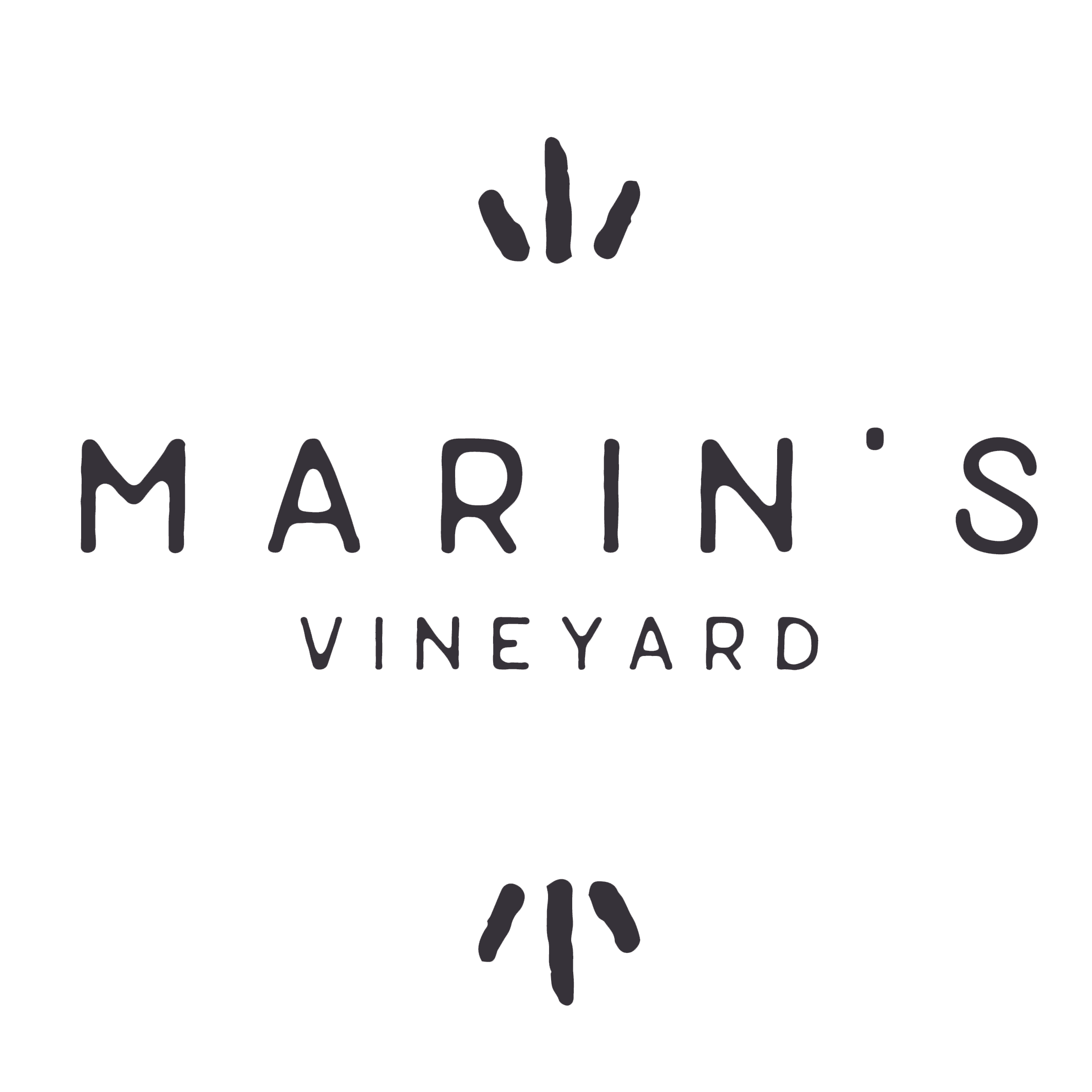 Logo of Marling Vineyards with a stylized grapevine icon above the text