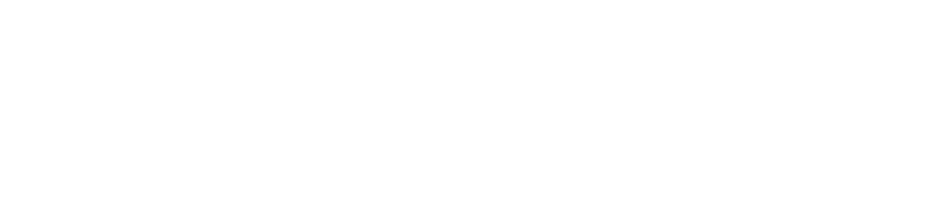 DR KARADAGHI