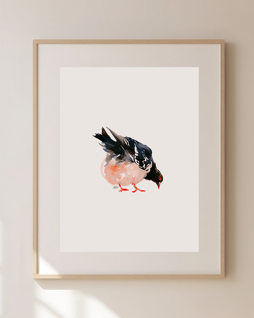 Pigeon Studies 11 | Limited Edition Art Print