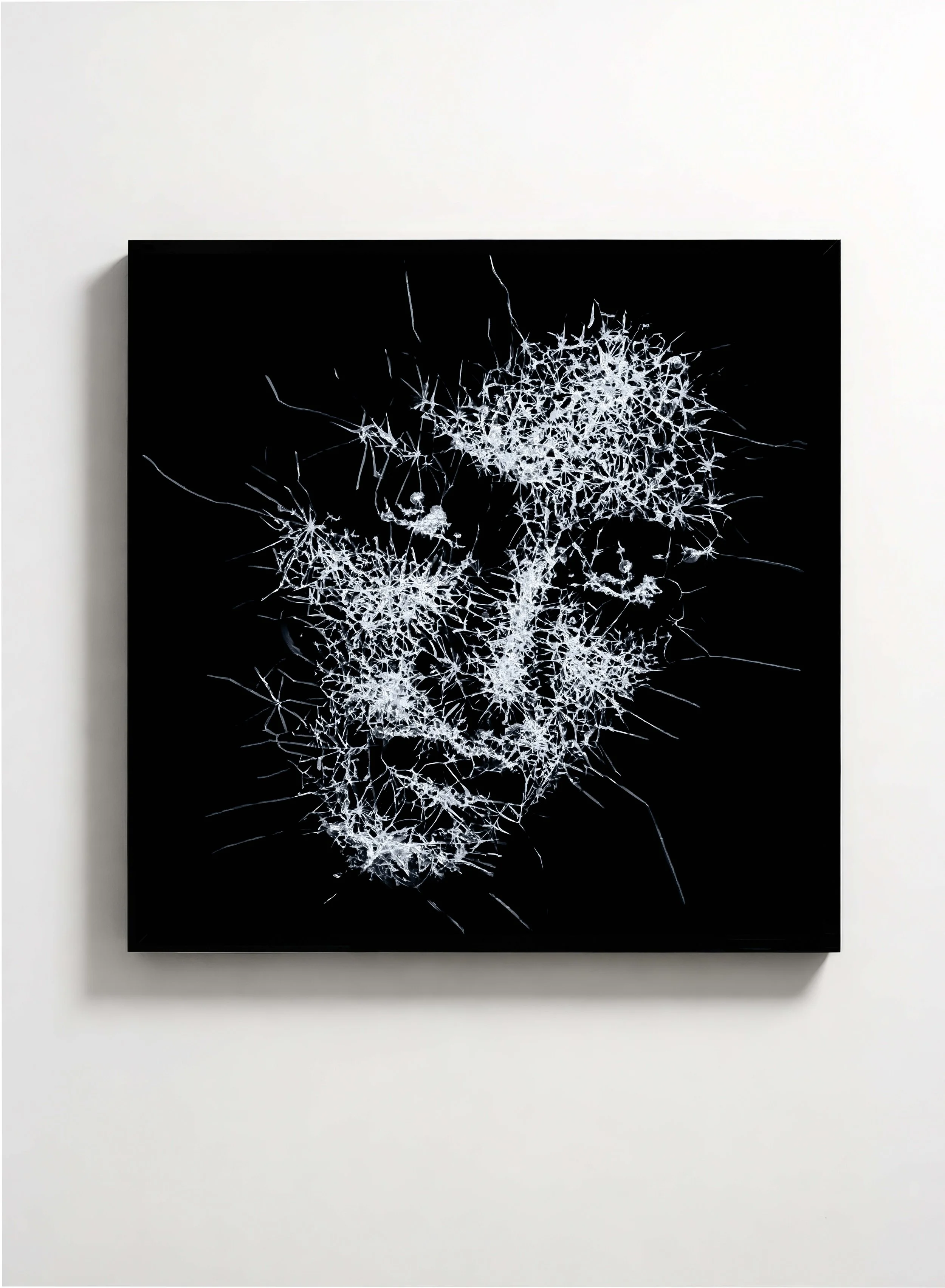 Untitled, 2026, 100 x 100 cm