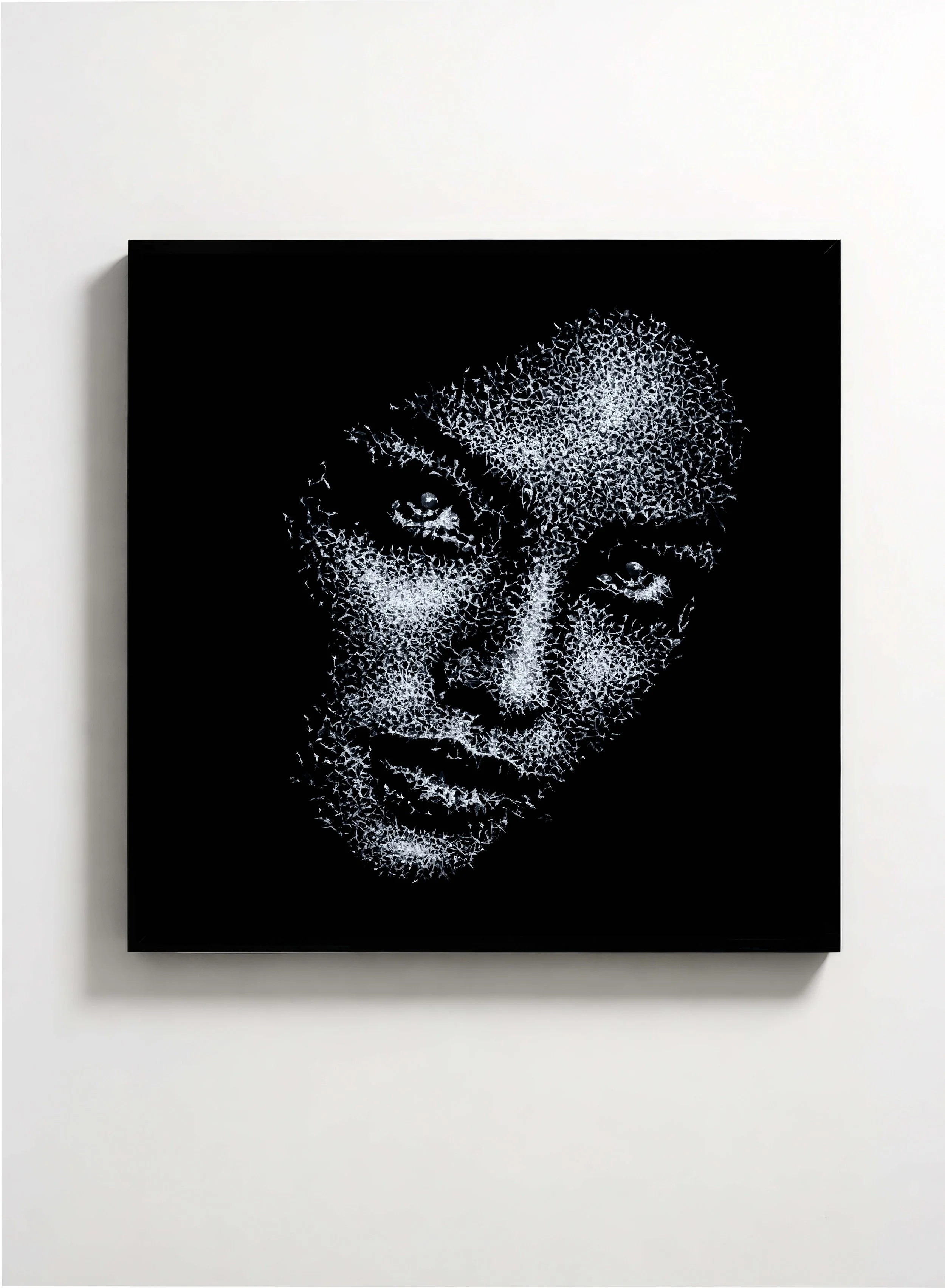 Untitled, 2026, 100 x 100 cm